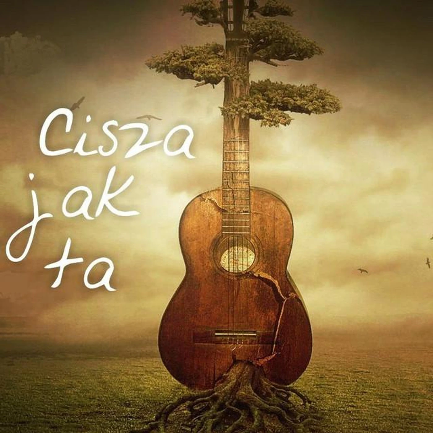 Cisza Jak Ta Brand Page