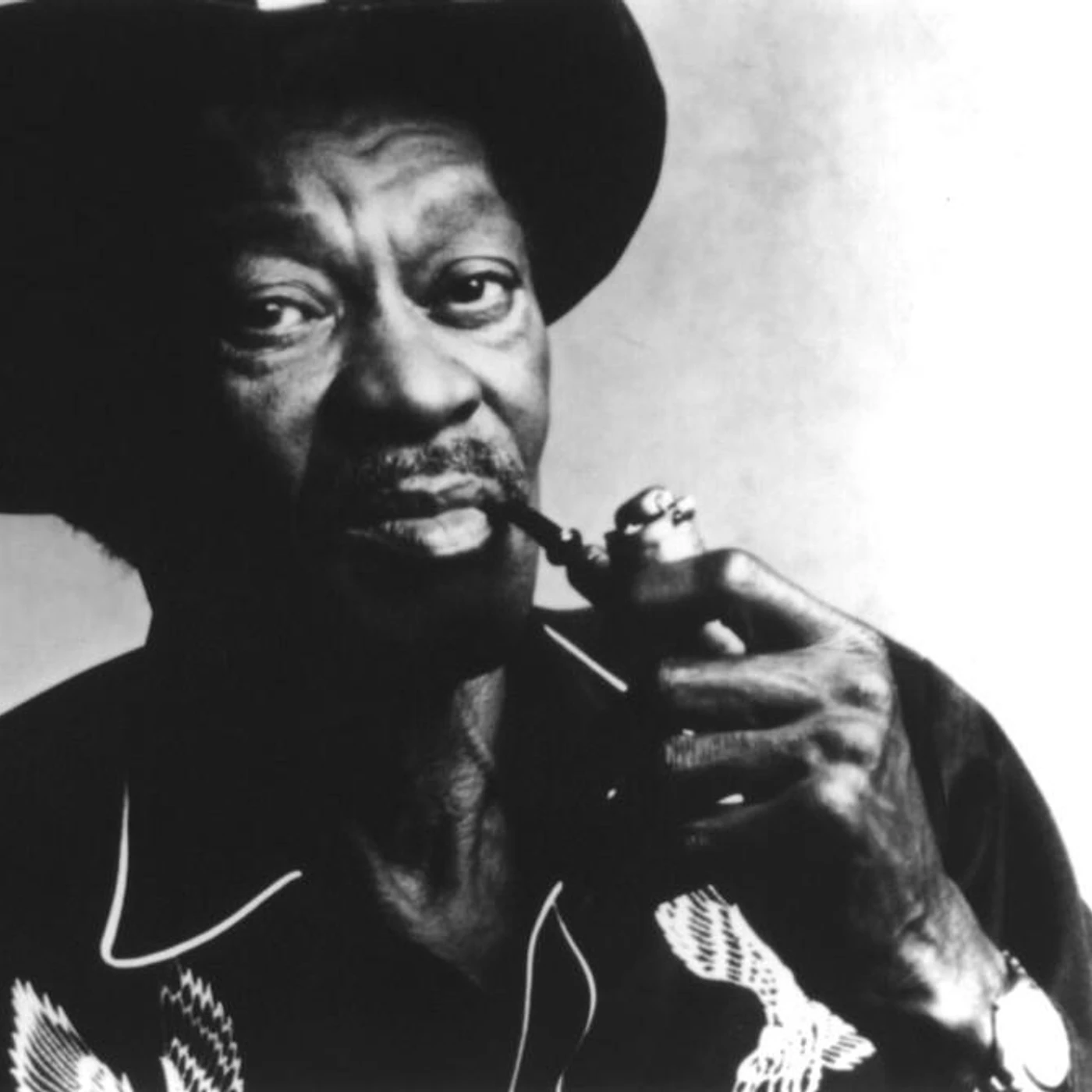 Clarence "Gatemouth" Brown Brand Page