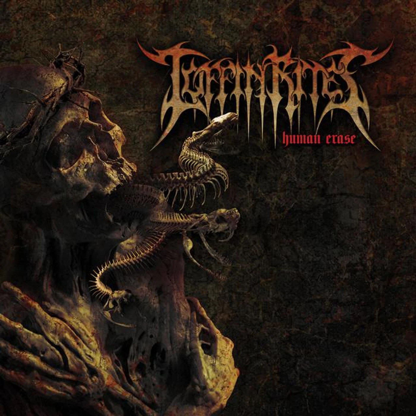 Coffin Rites