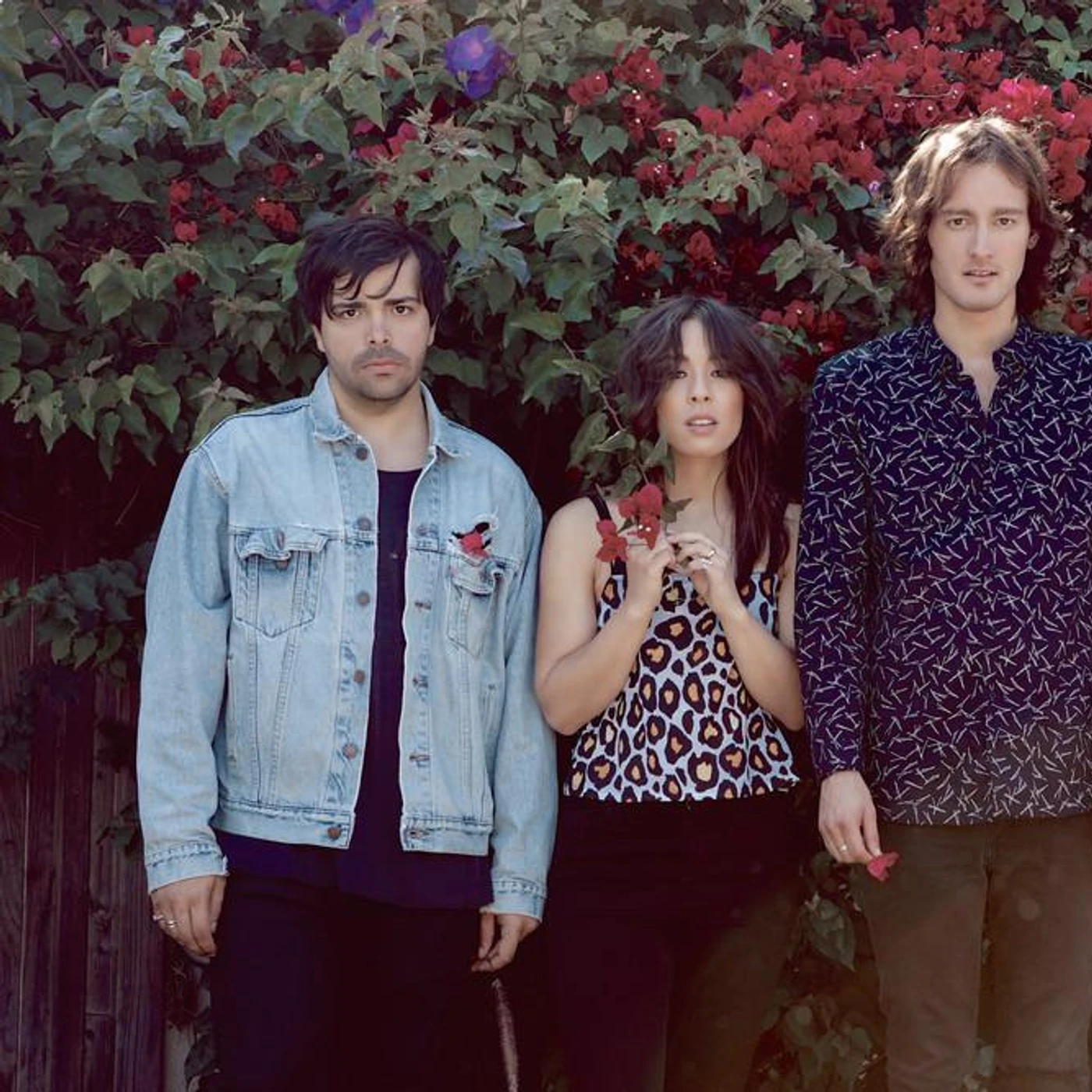 The Colourist Brand Page