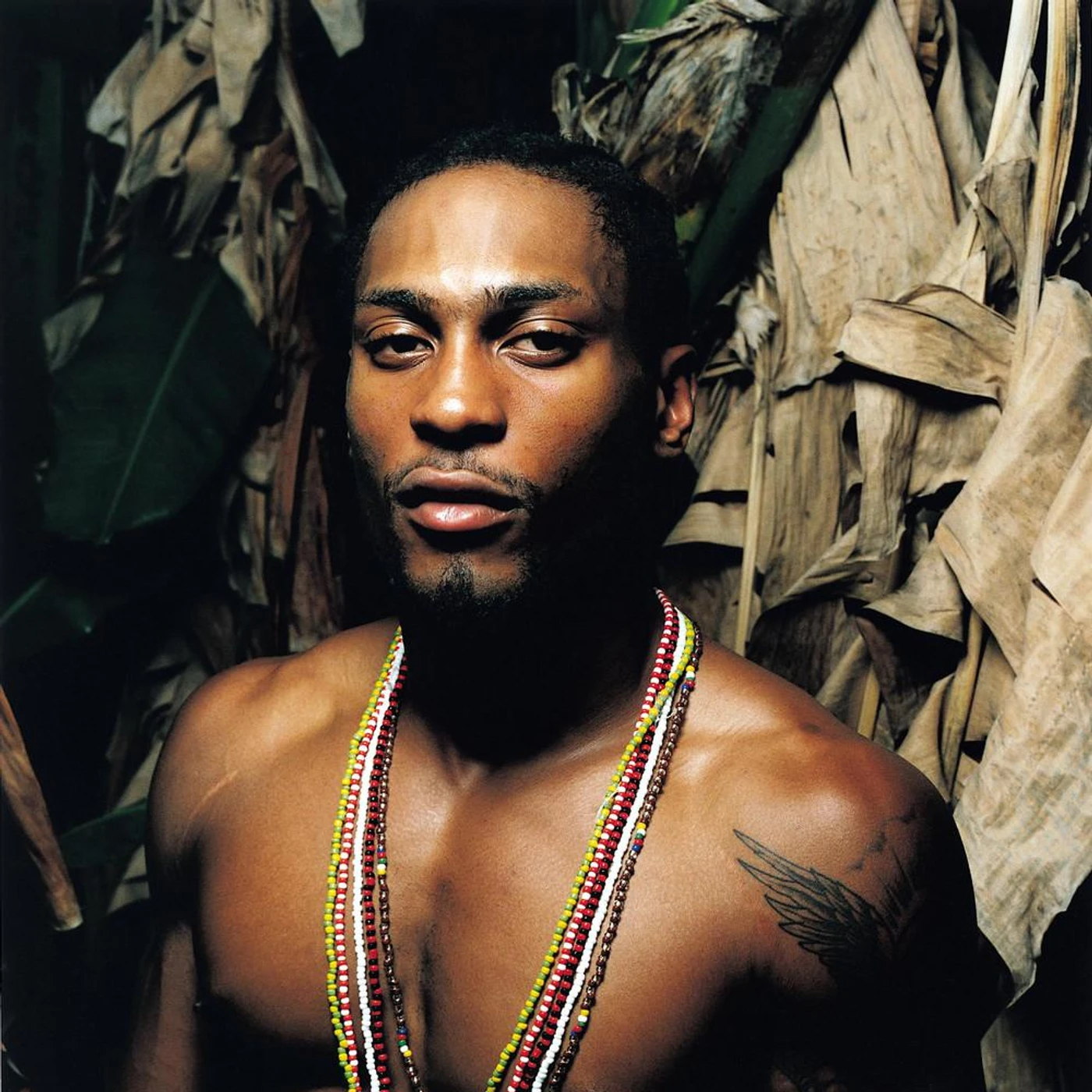 D'Angelo Brand Page
