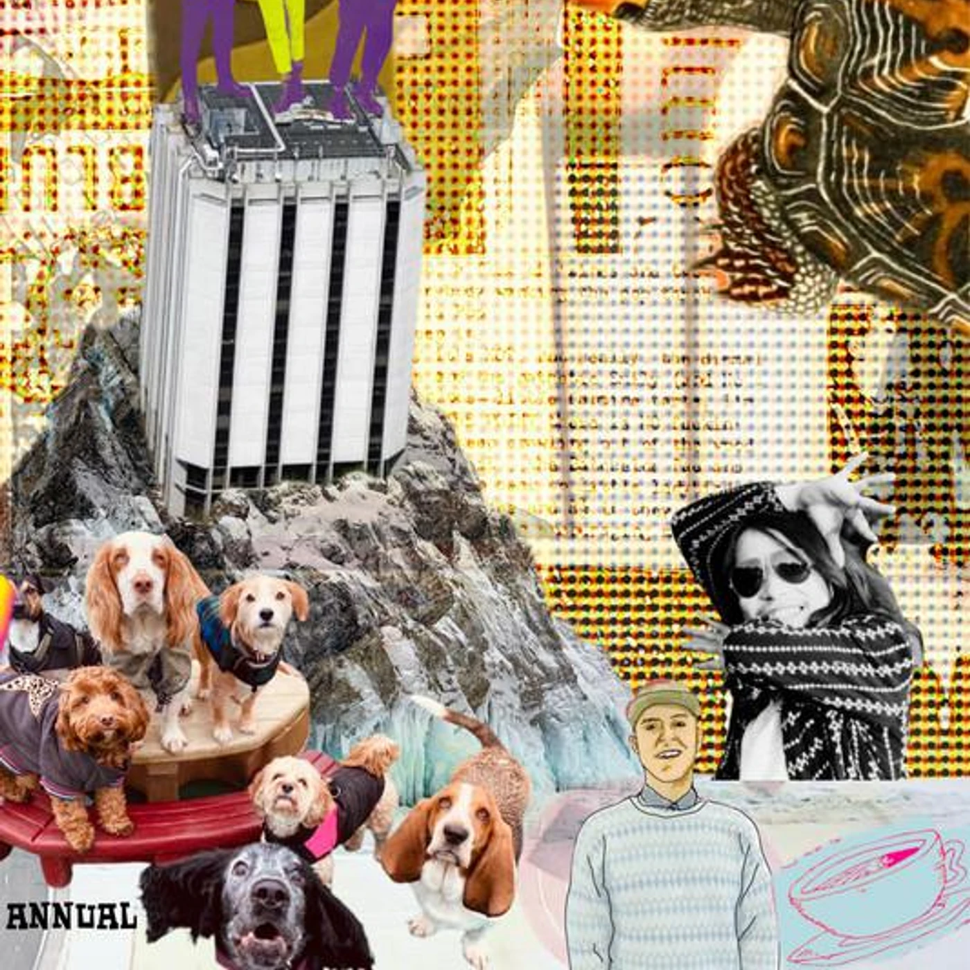 Damo Suzuki's Network