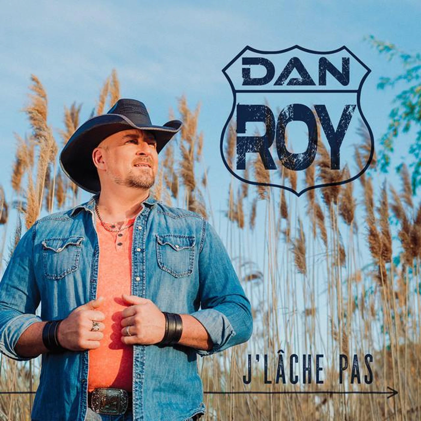 Dan Roy Brand Page