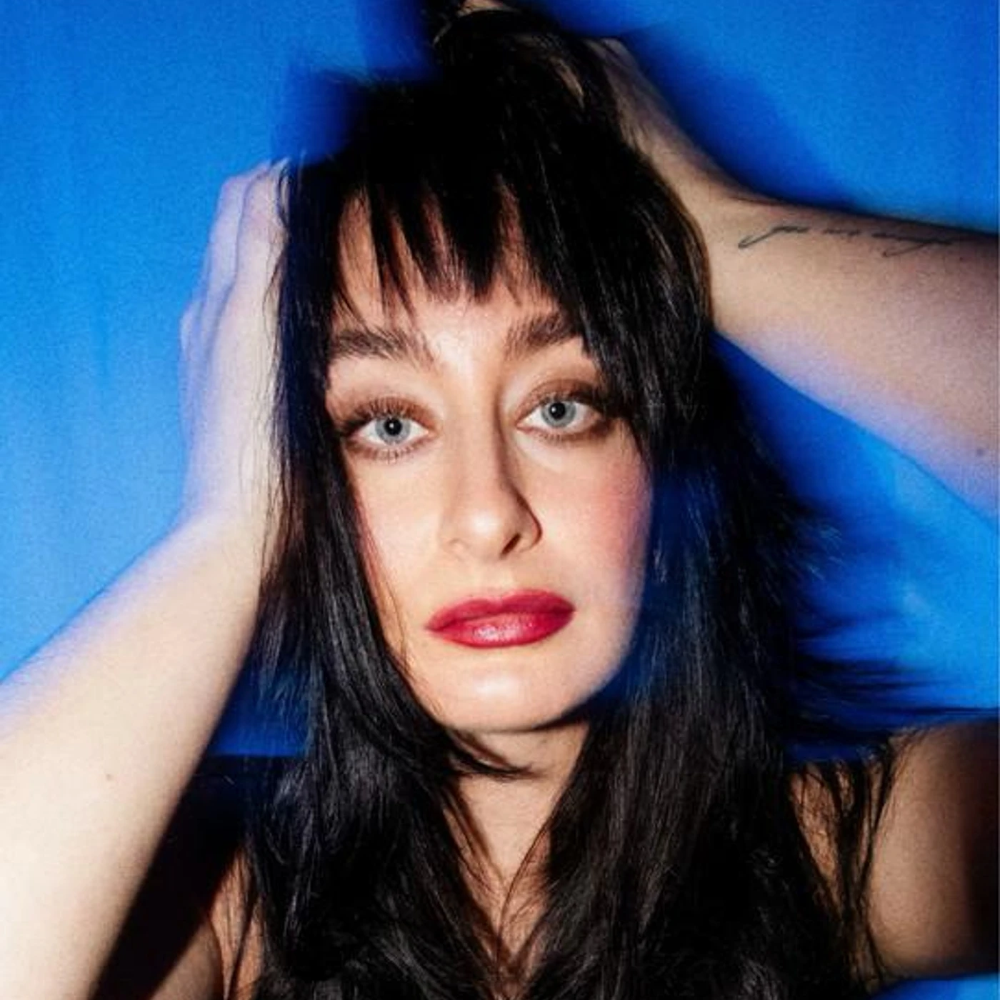 Dani Sylvia Brand Page