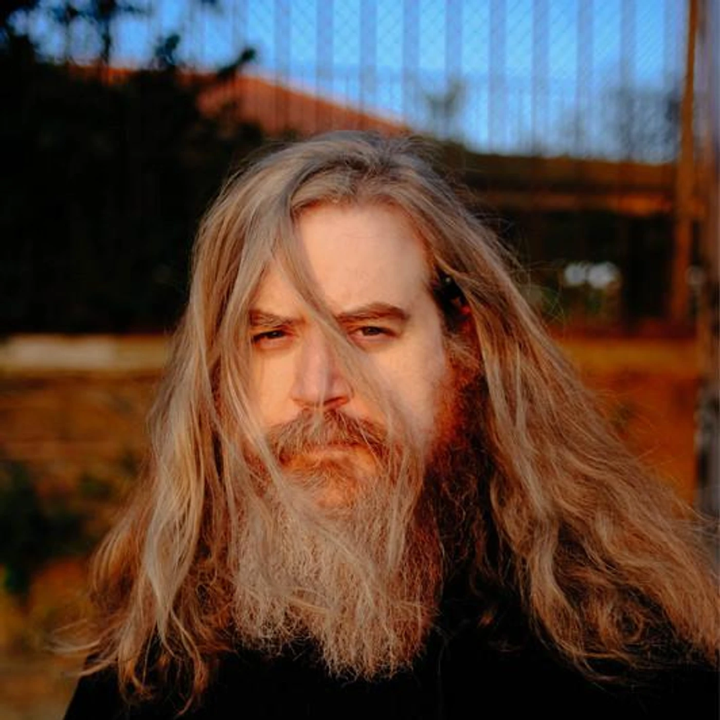 Daniel Knox Brand Page