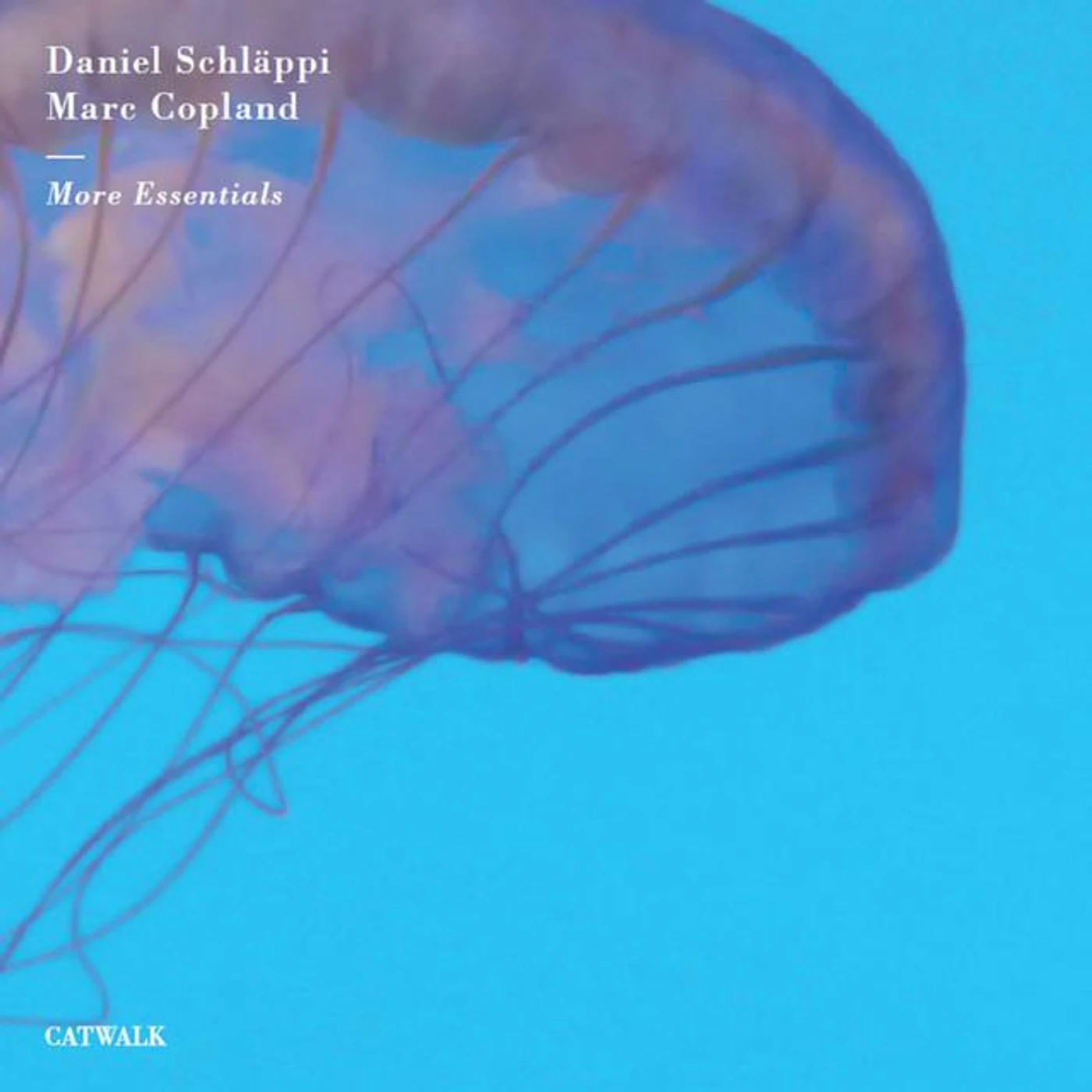 Daniel Schläppi Brand Page