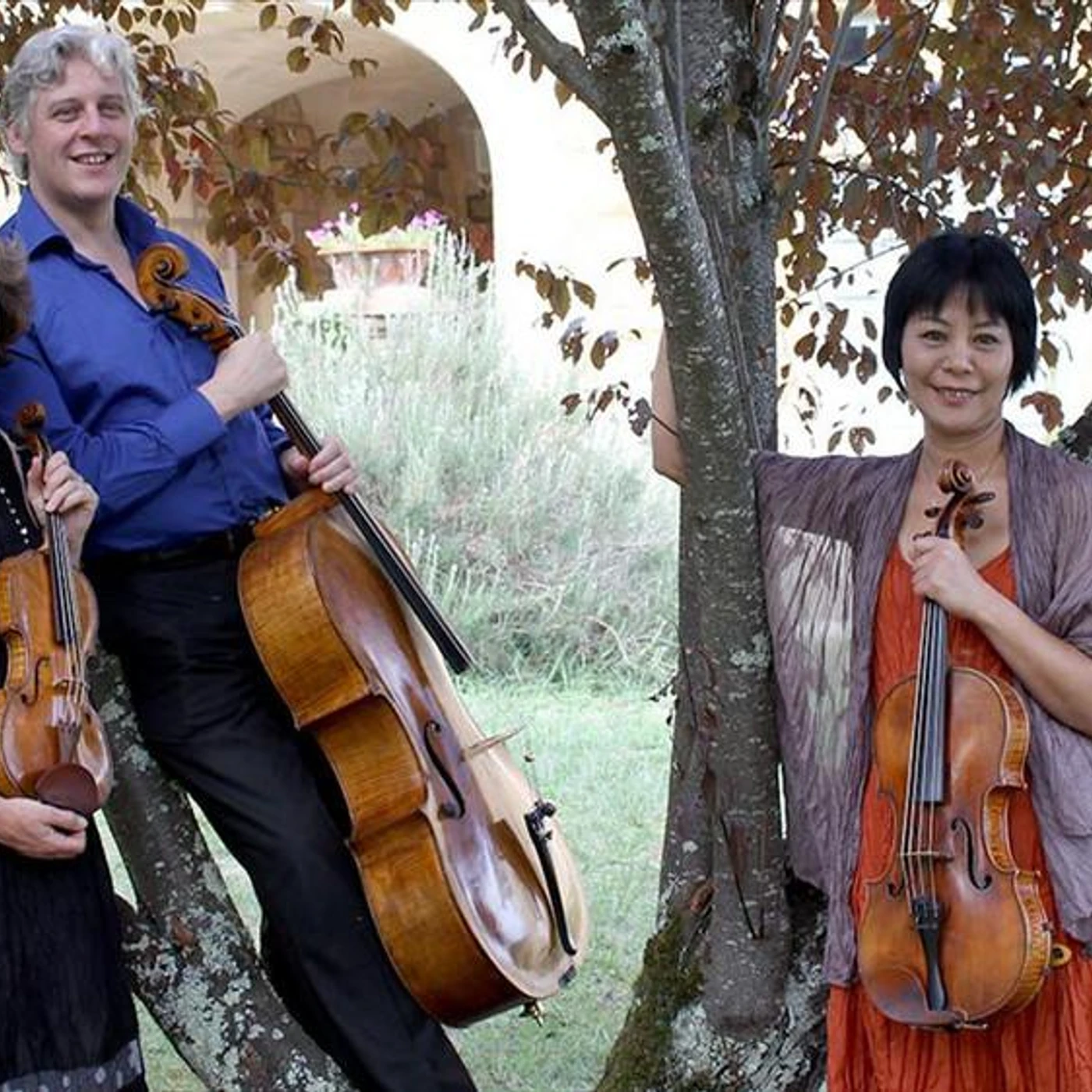 Dante Quartet Brand Page