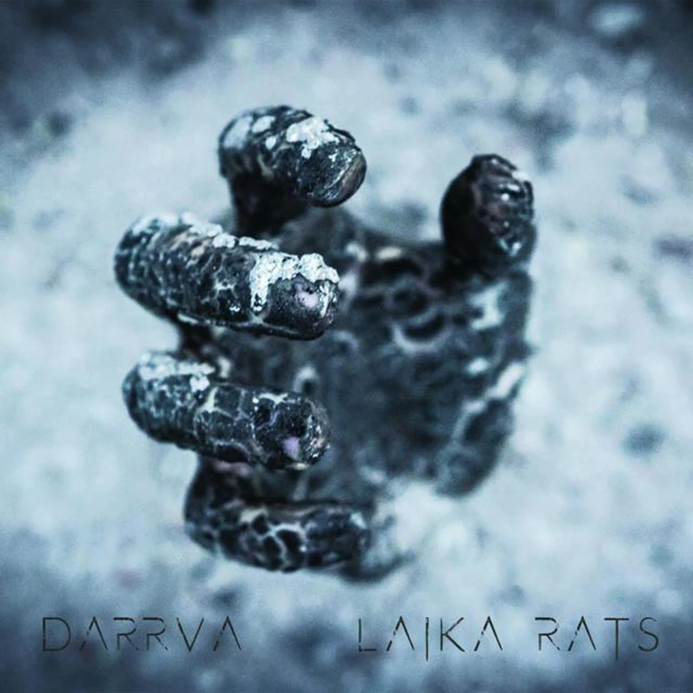 DARRVA Brand Page