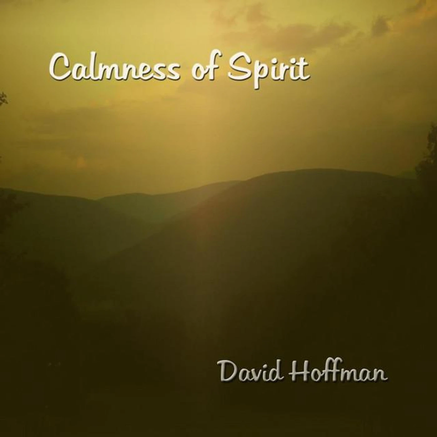 David Hoffman Brand Page