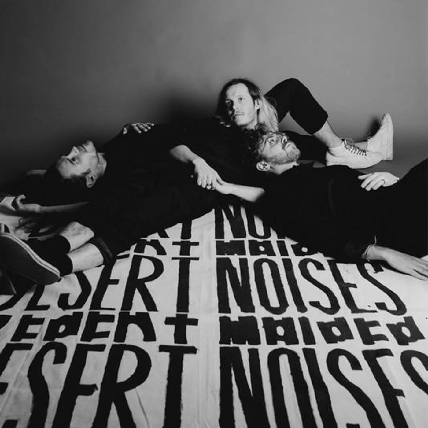 Desert Noises Brand Page