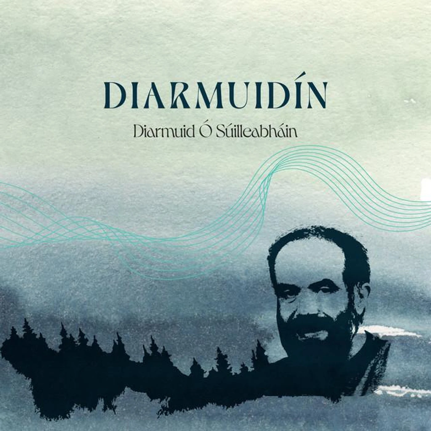 Diarmuid Ó Súilleabháin Brand Page