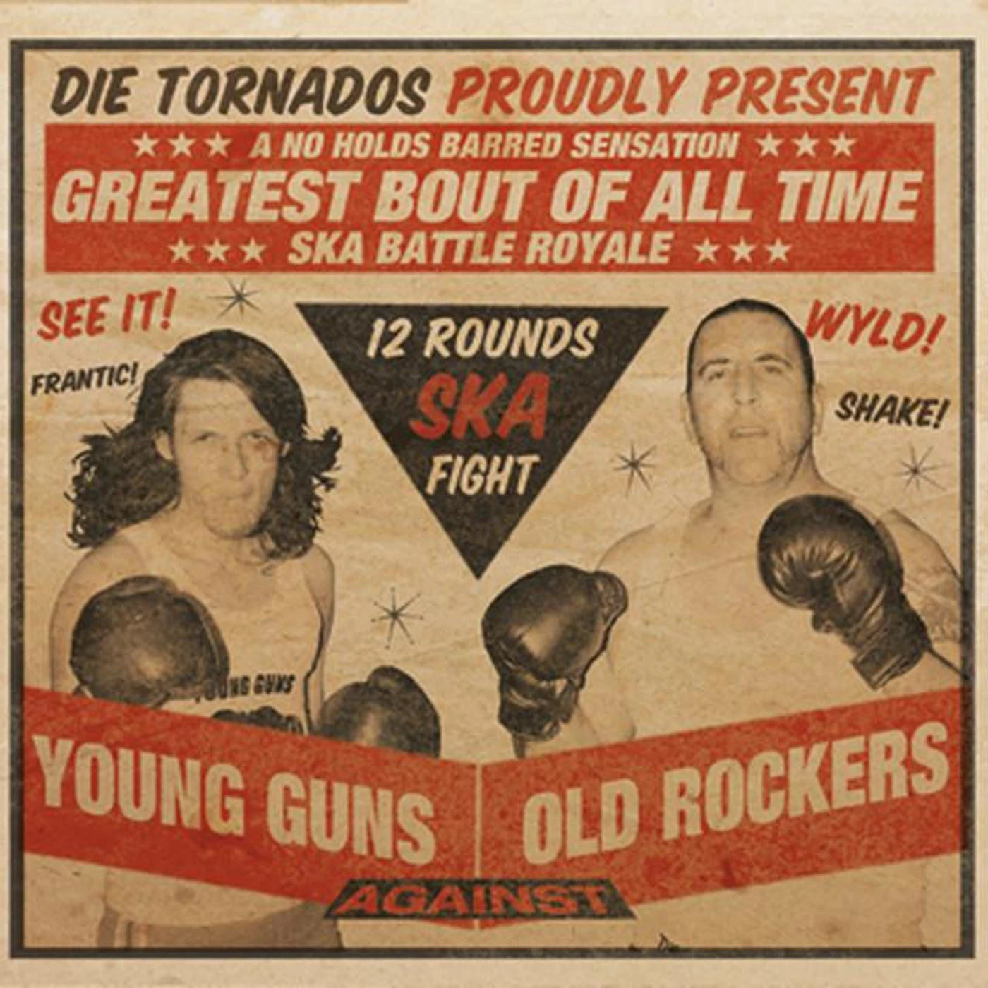 Die Tornados Brand Page