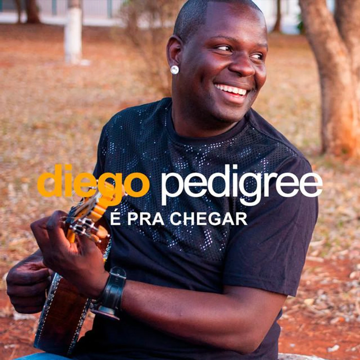 Diego Pedigree Brand Page