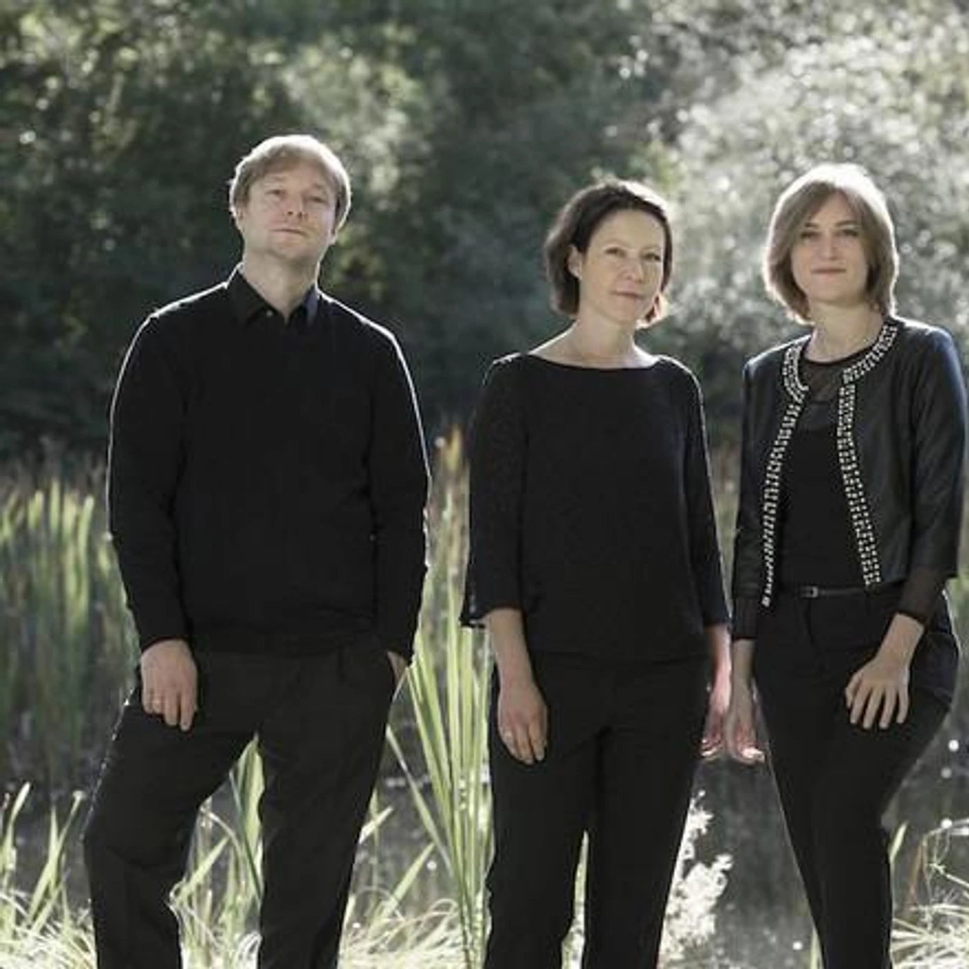 Diogenes Quartet Brand Page