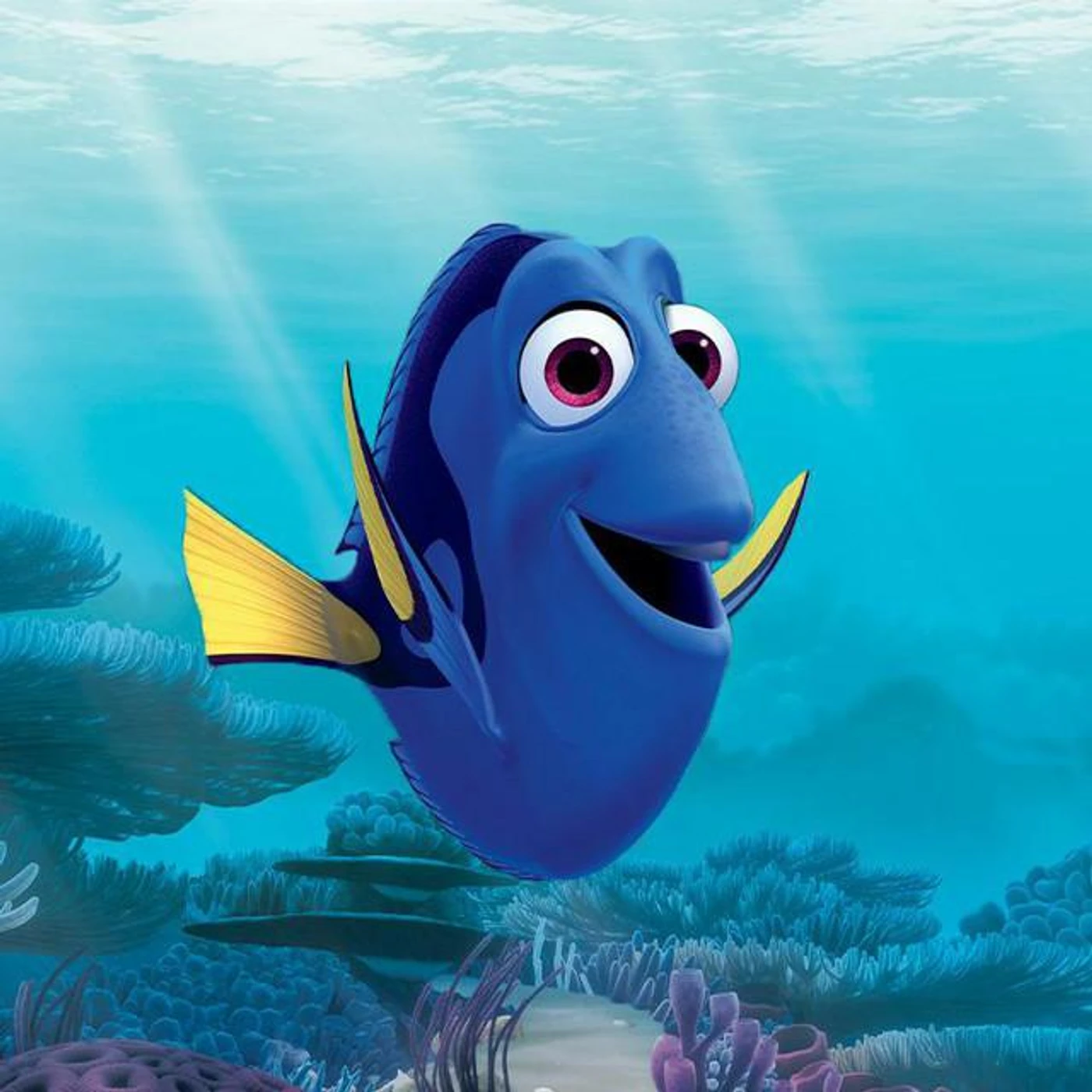 Disney - Findet Dorie