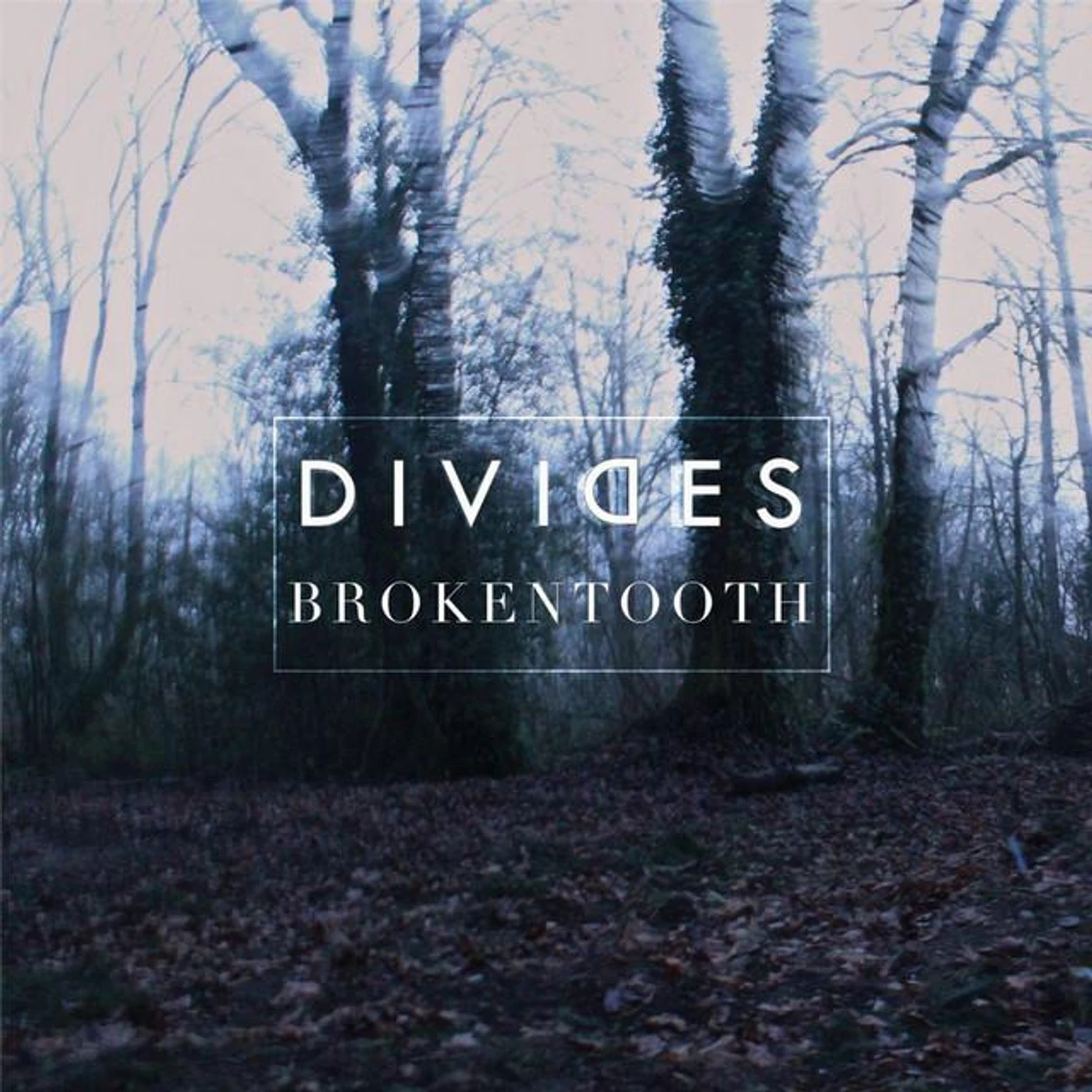 Divides Brand Page