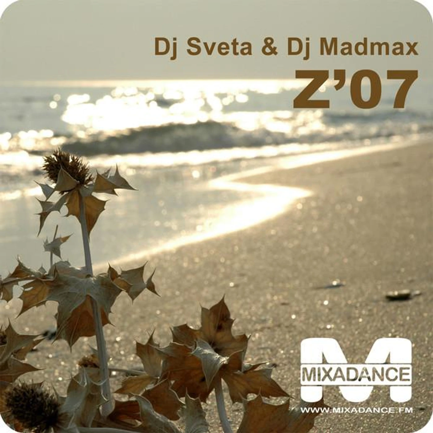 DJ Sveta