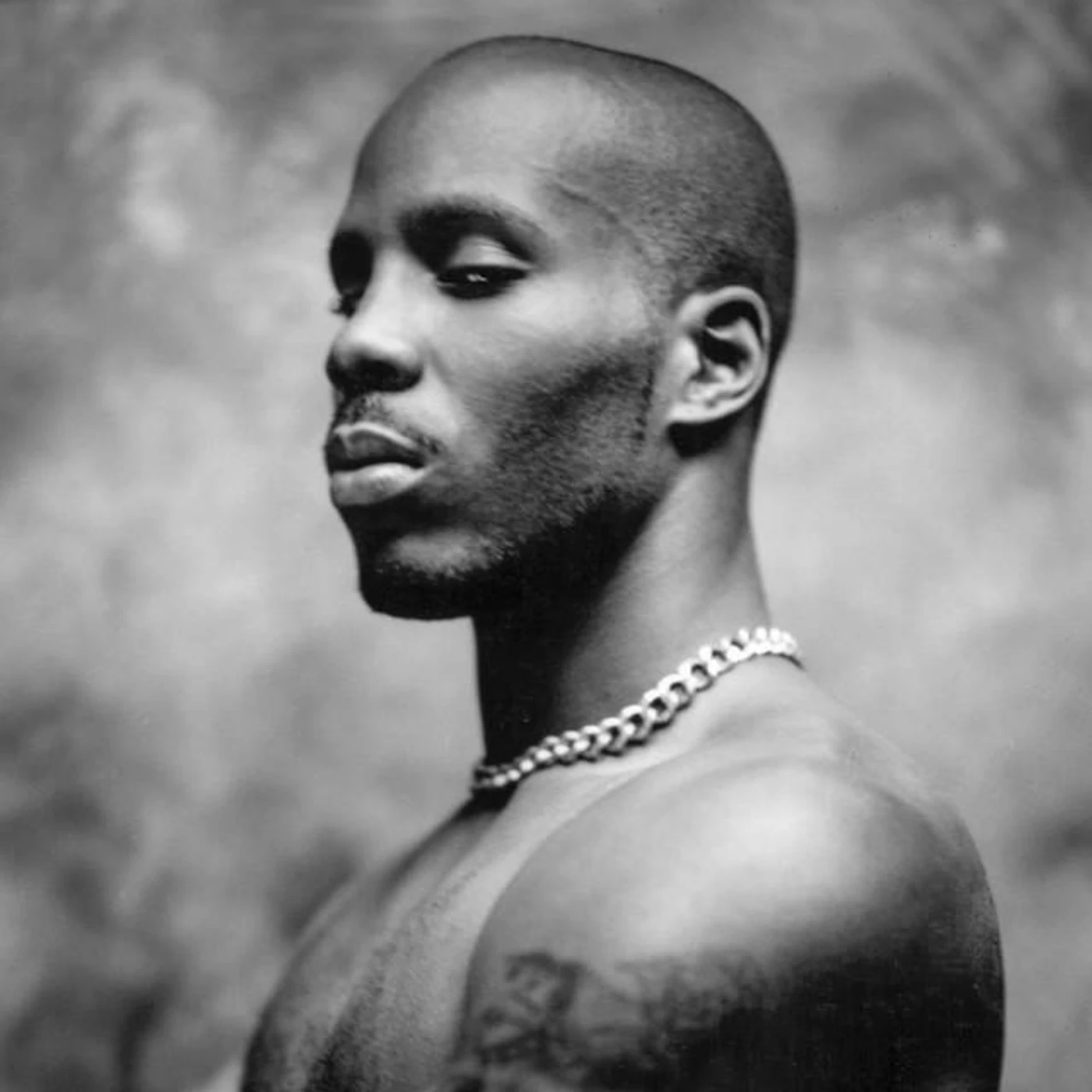 DMX Brand Page