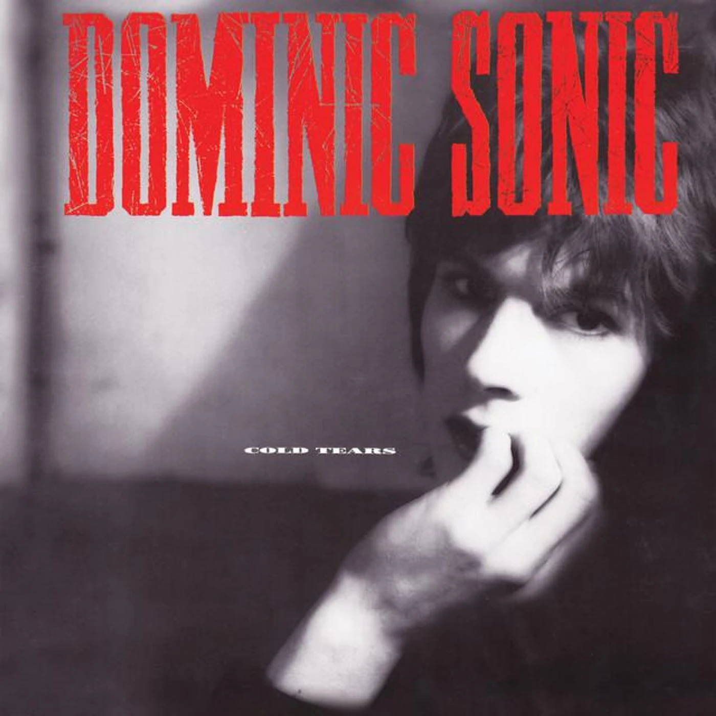 Dominic Sonic Brand Page