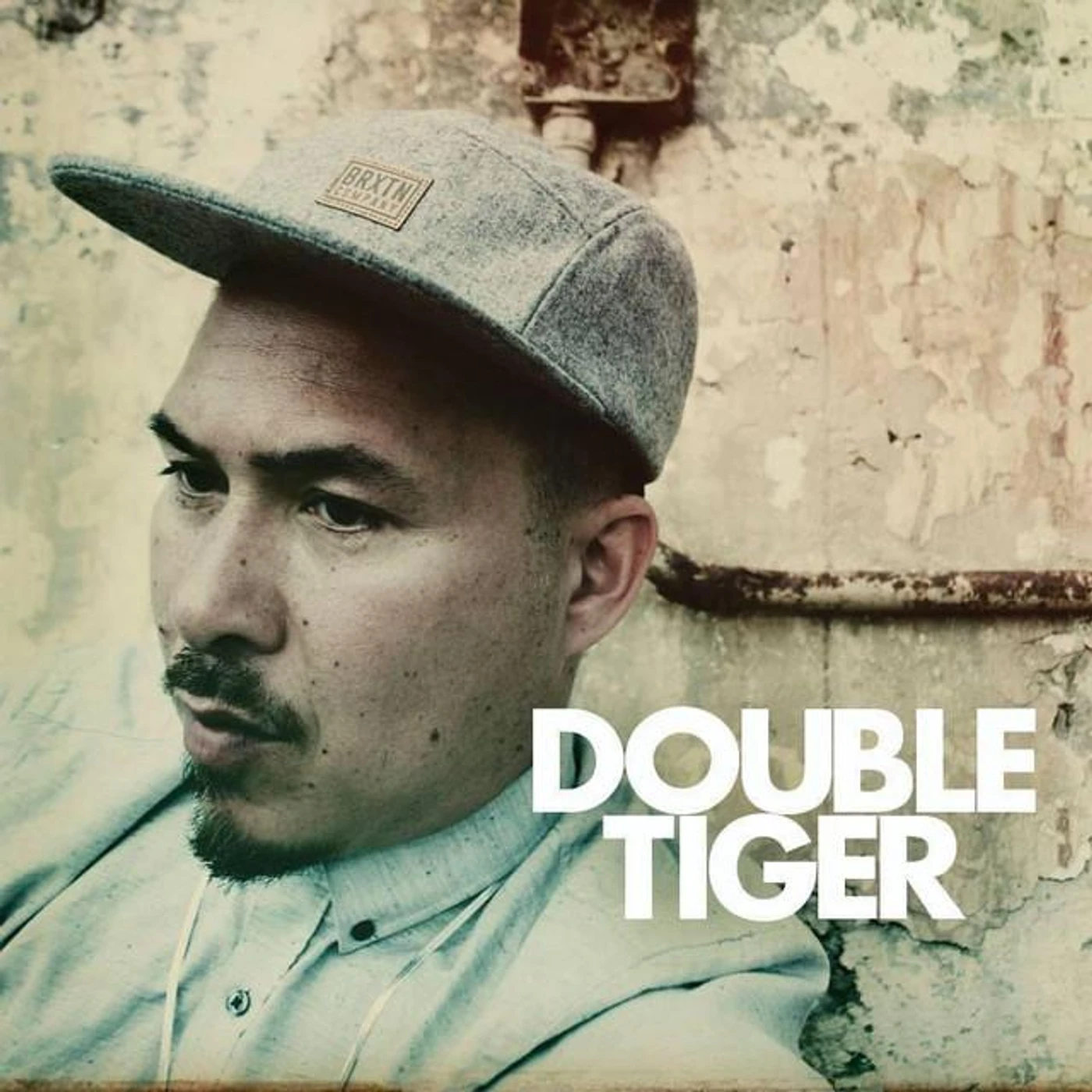 Double Tiger Brand Page