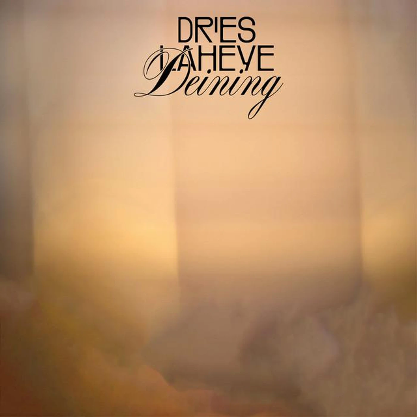 Dries Laheye Brand Page