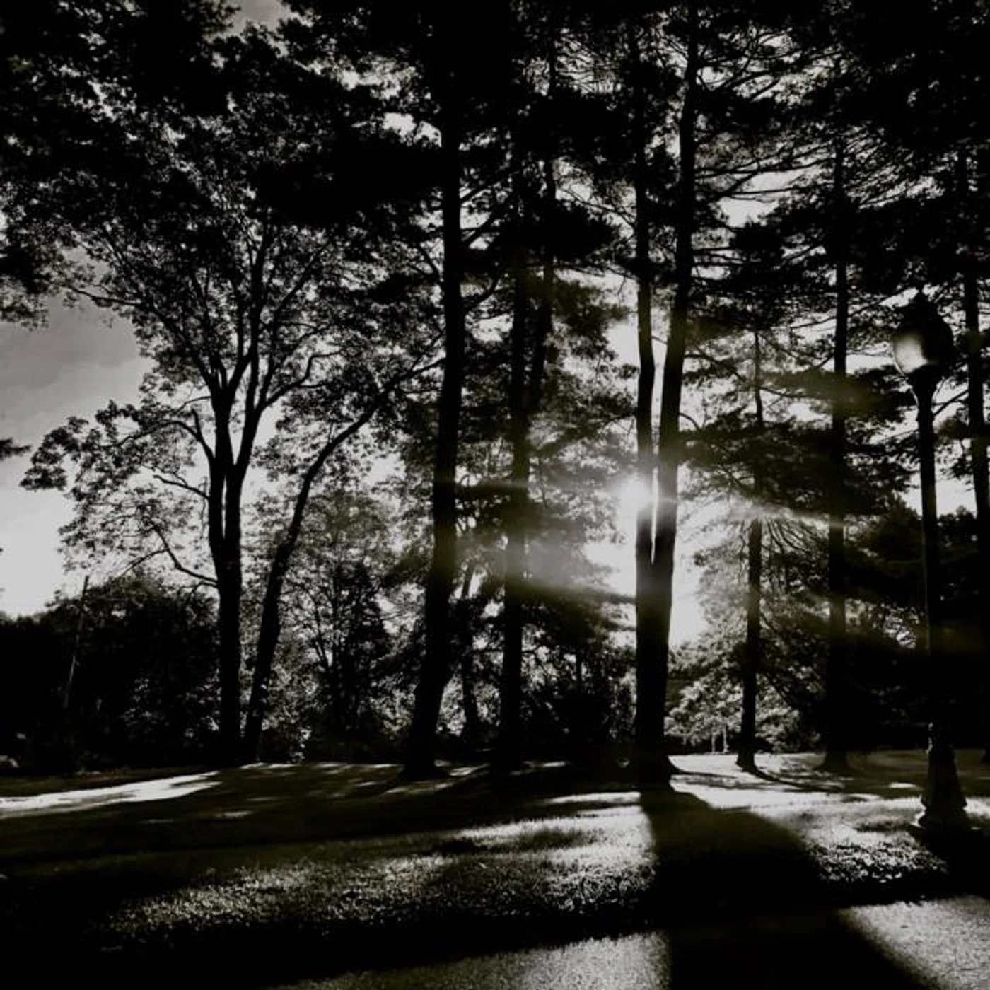 Eternity X