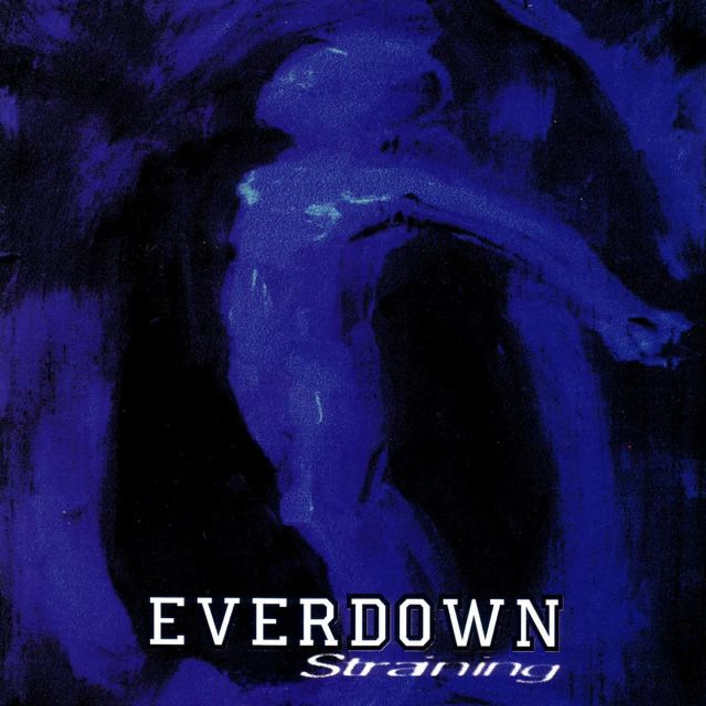 Everdown Brand Page