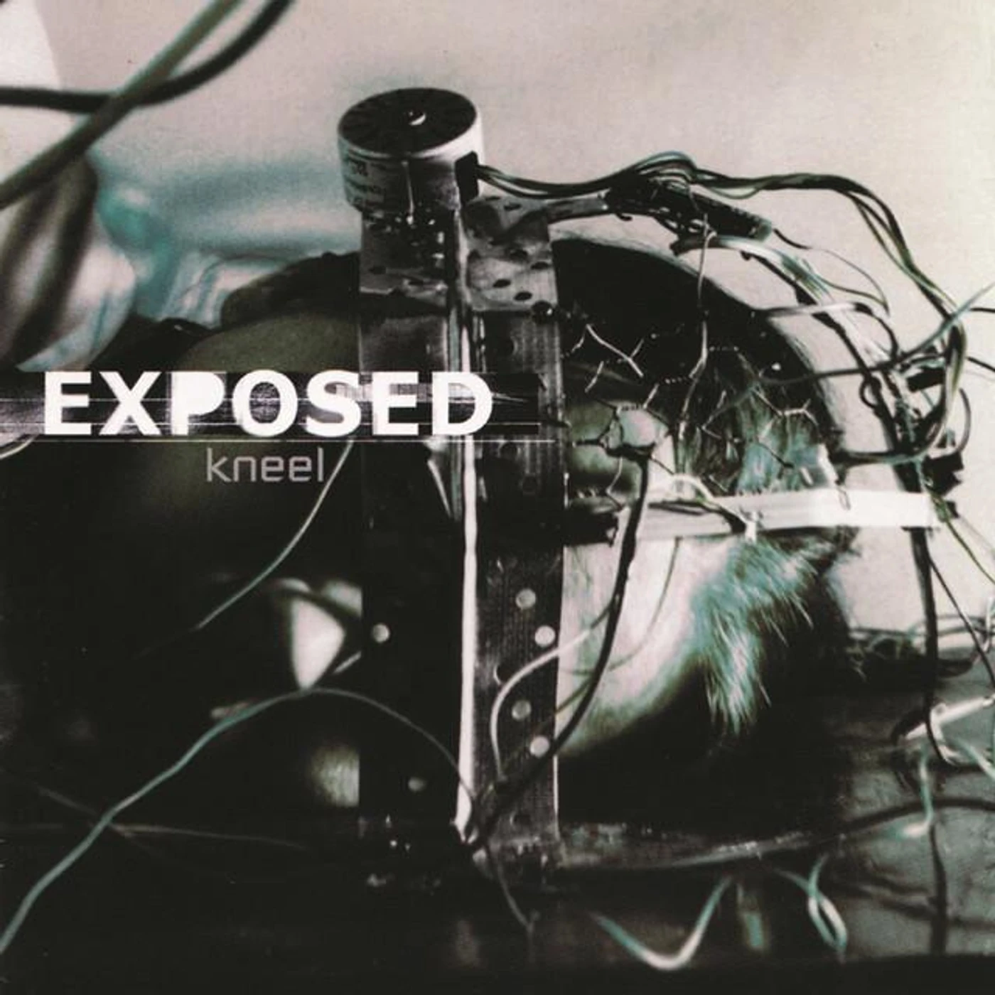 Exposed Brand Page