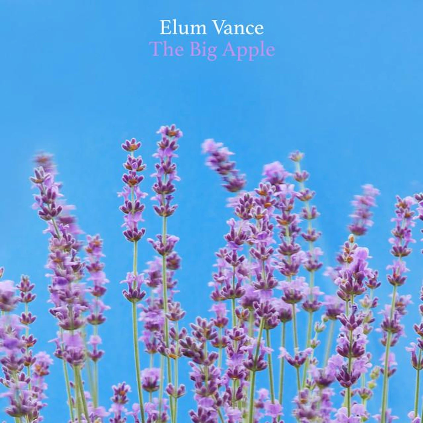 Elum Vance Brand Page
