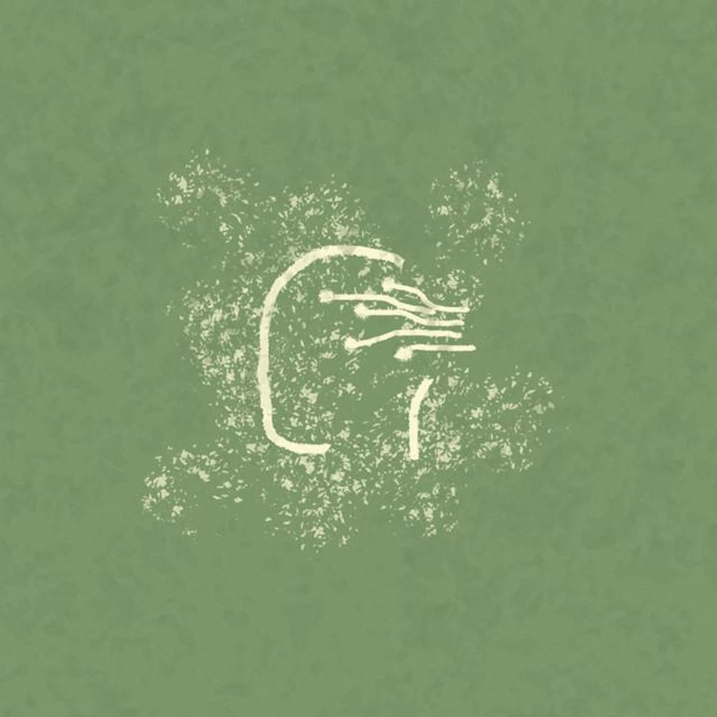 Eluvium Brand Page