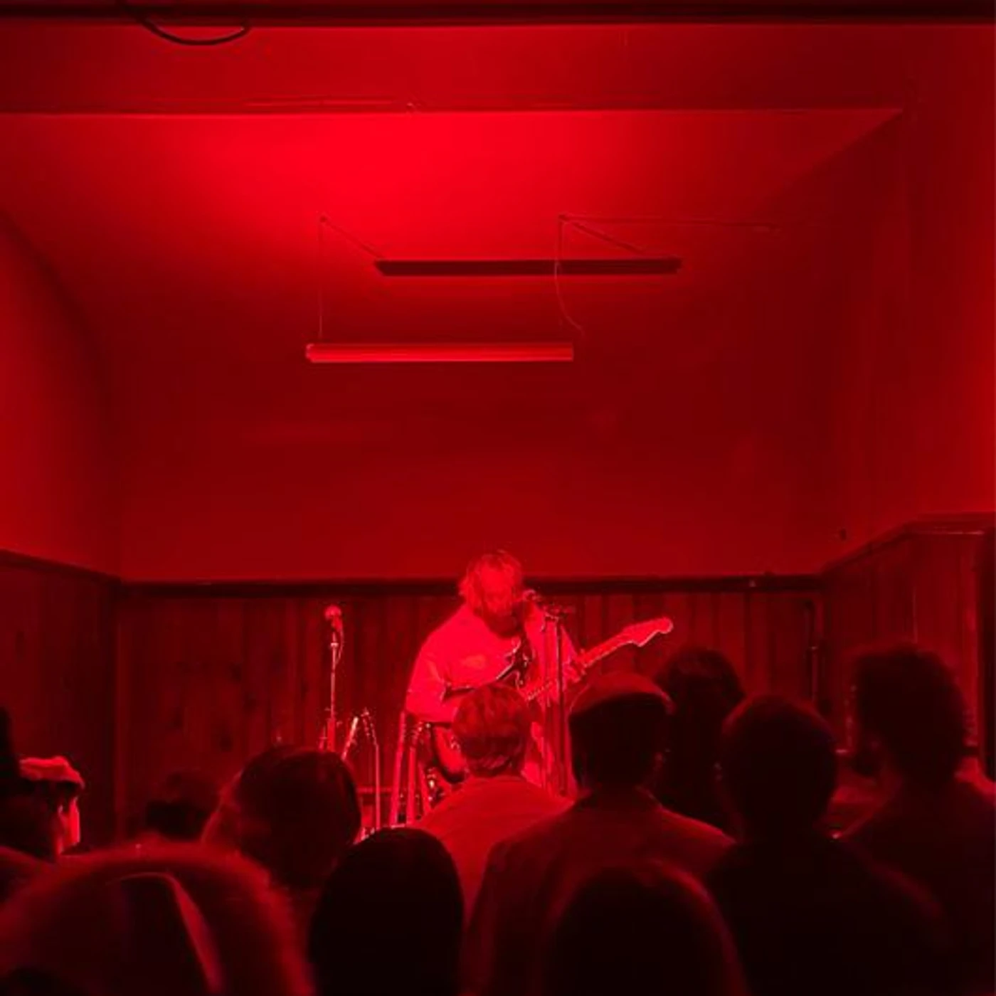 Elvis Depressedly Brand Page