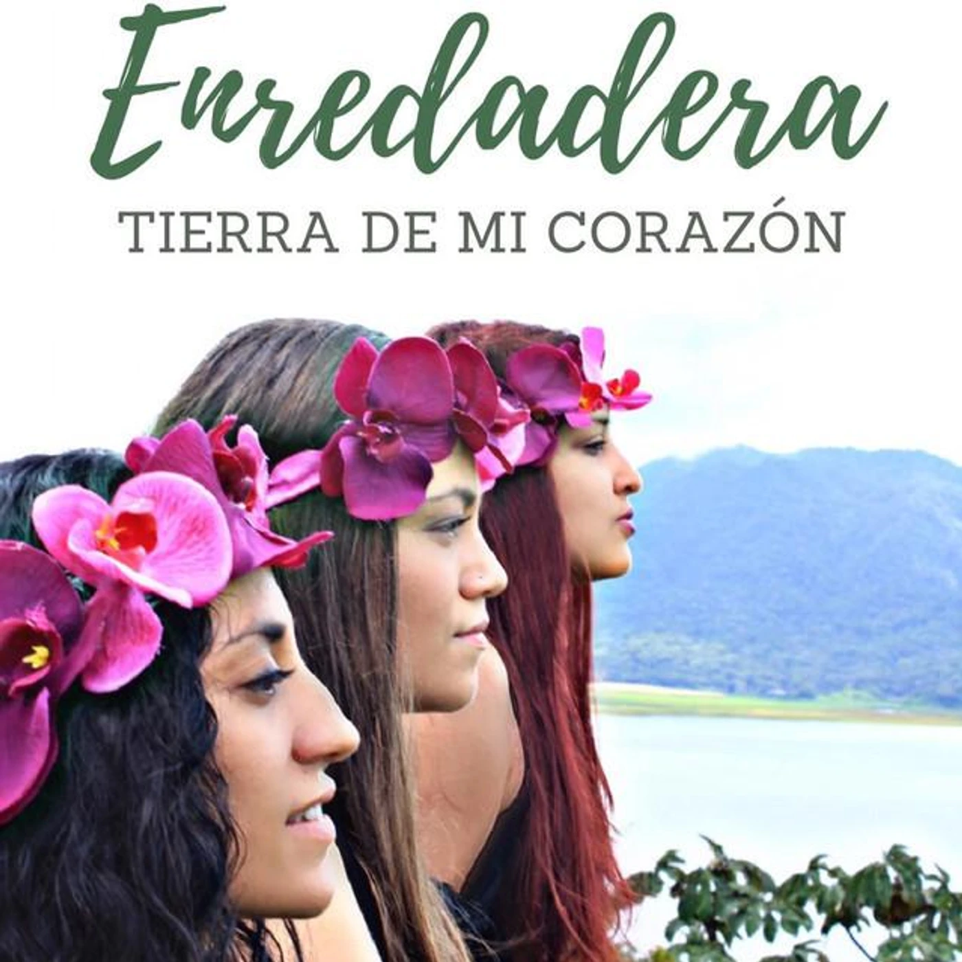 Enredadera