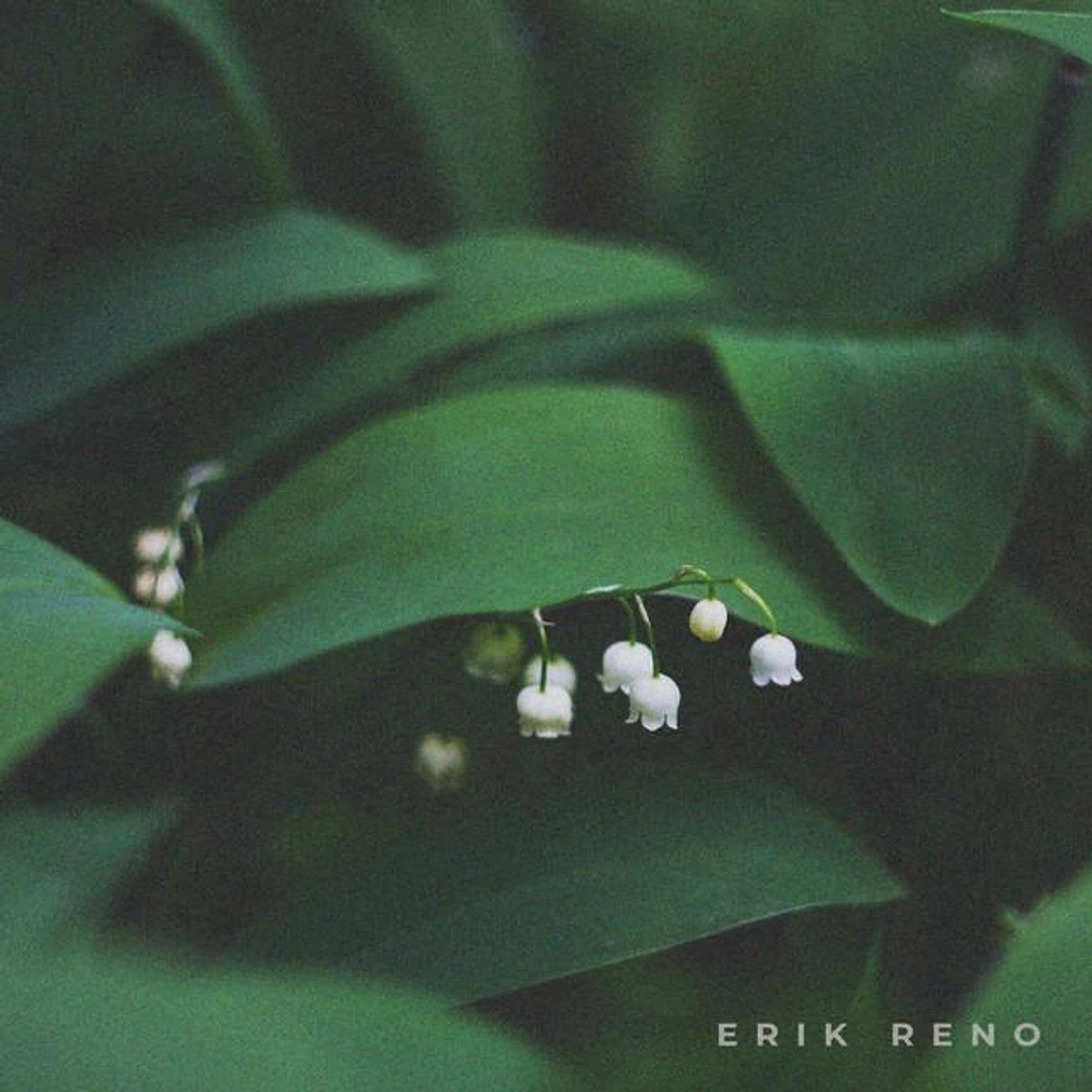 Erik Reno Brand Page