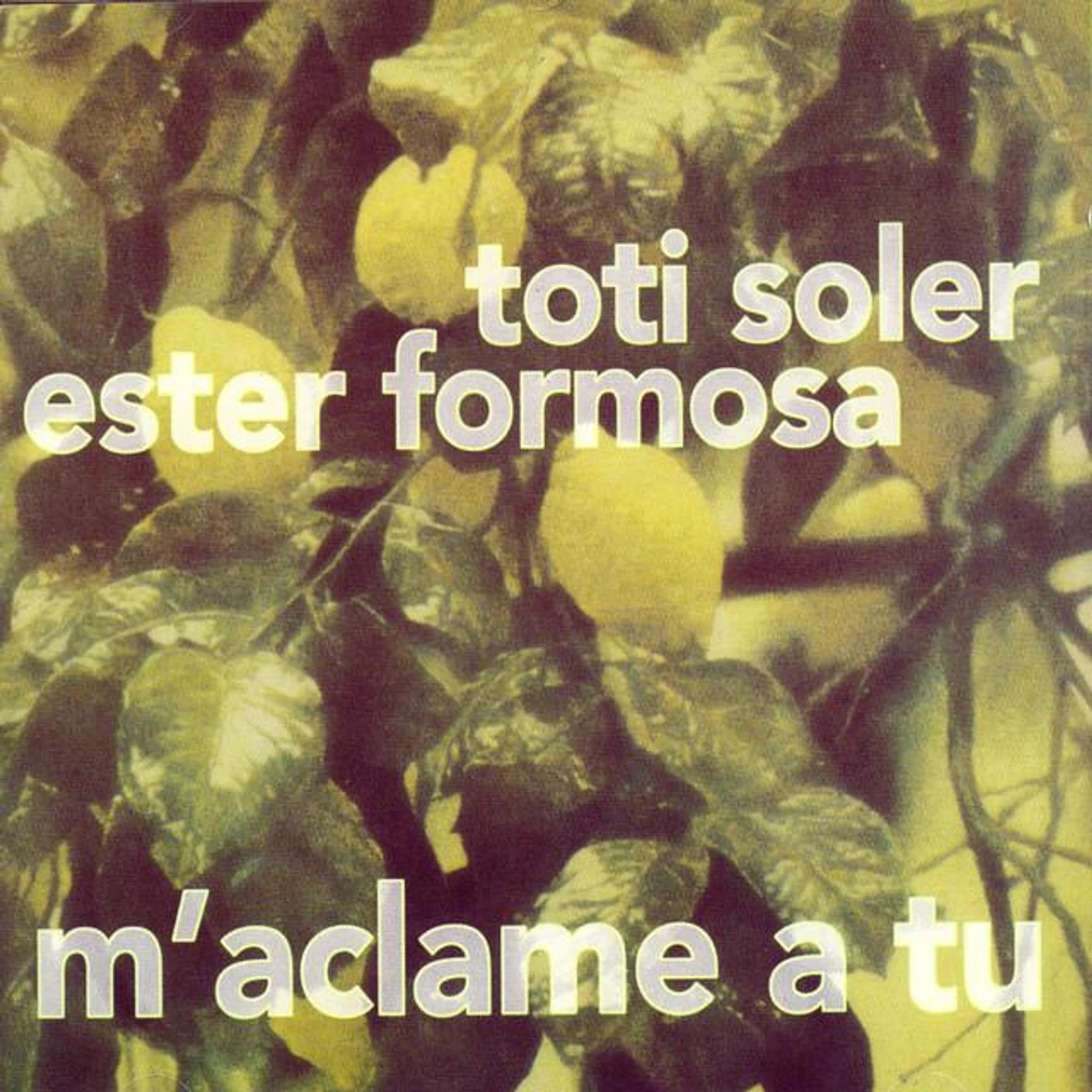 Ester Formosa Brand Page