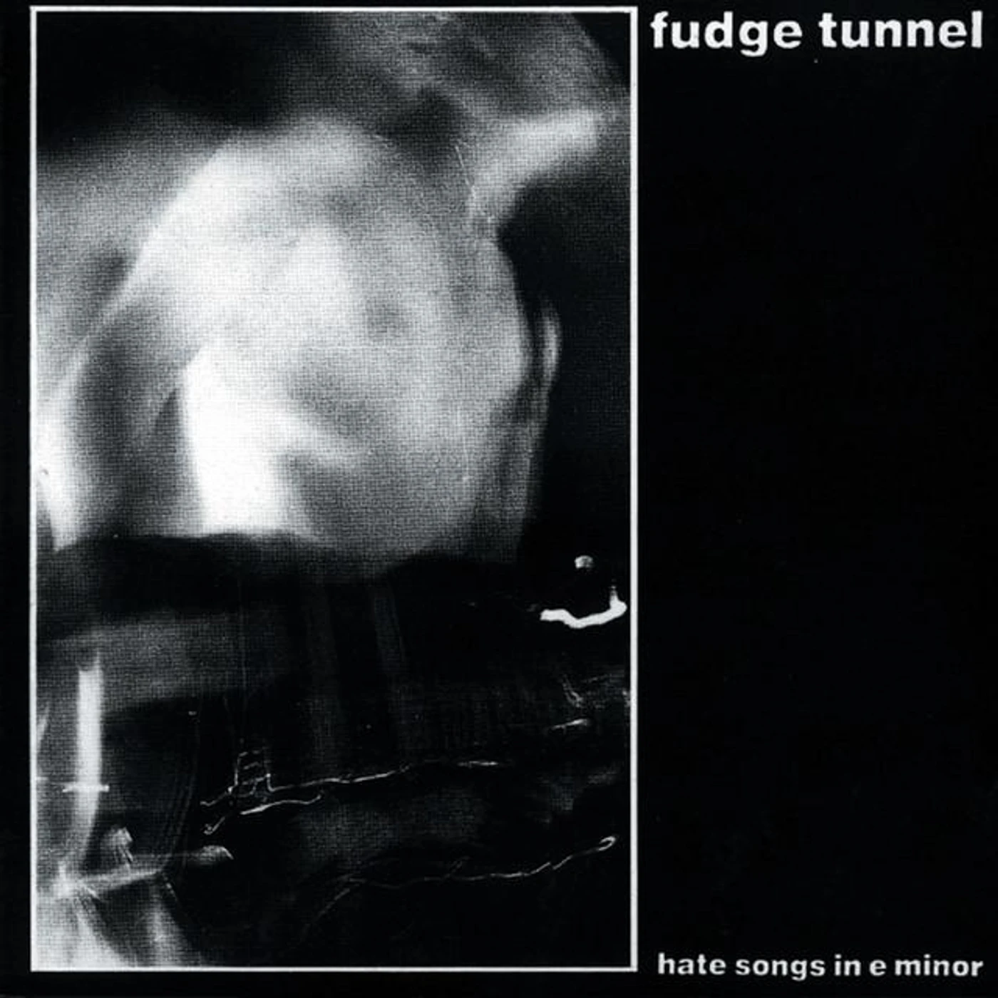 Fudge Tunnel Brand Page