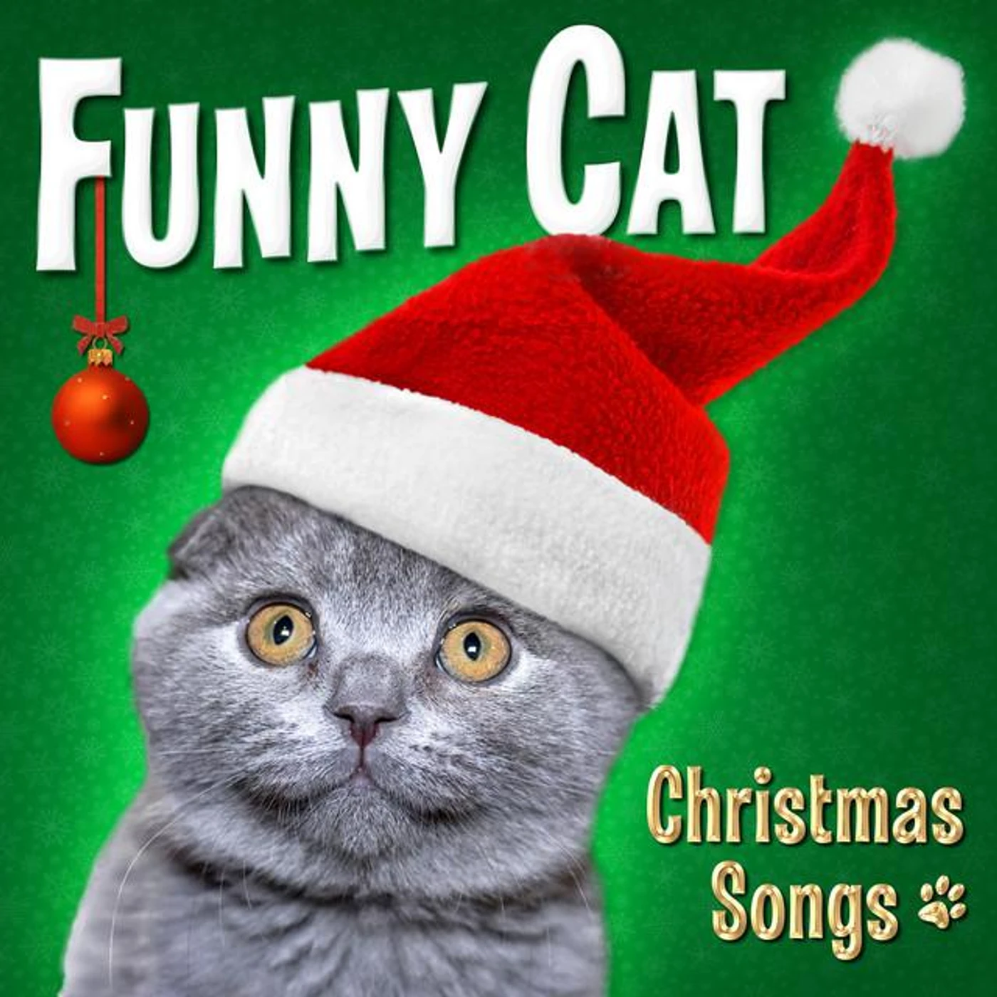 Funny Cats