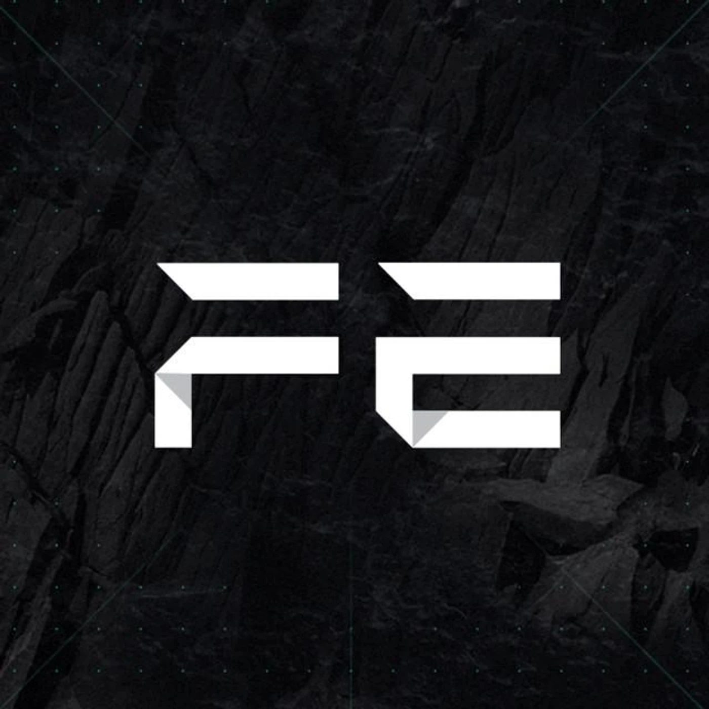 Future Engineers Brand Page