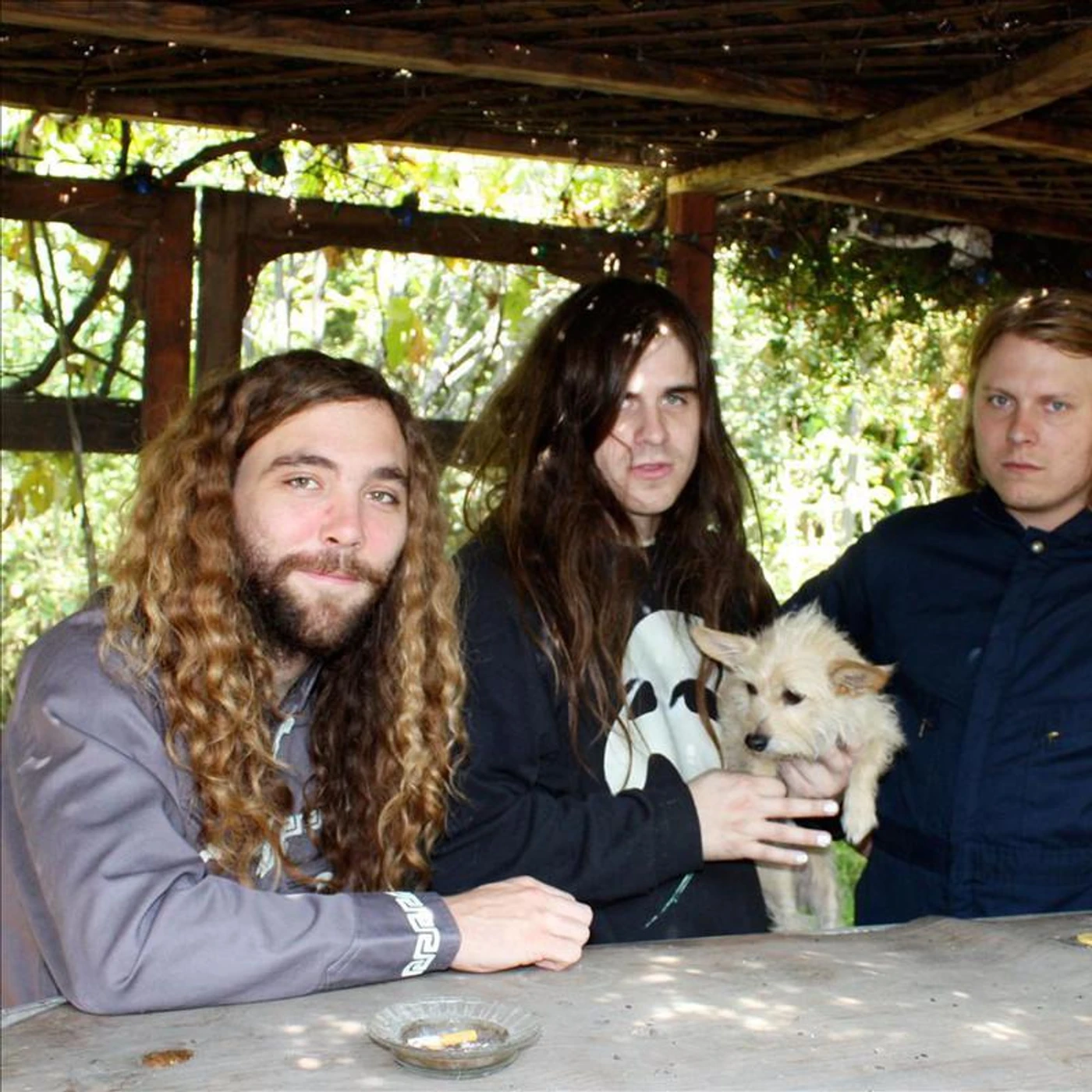 Fuzz