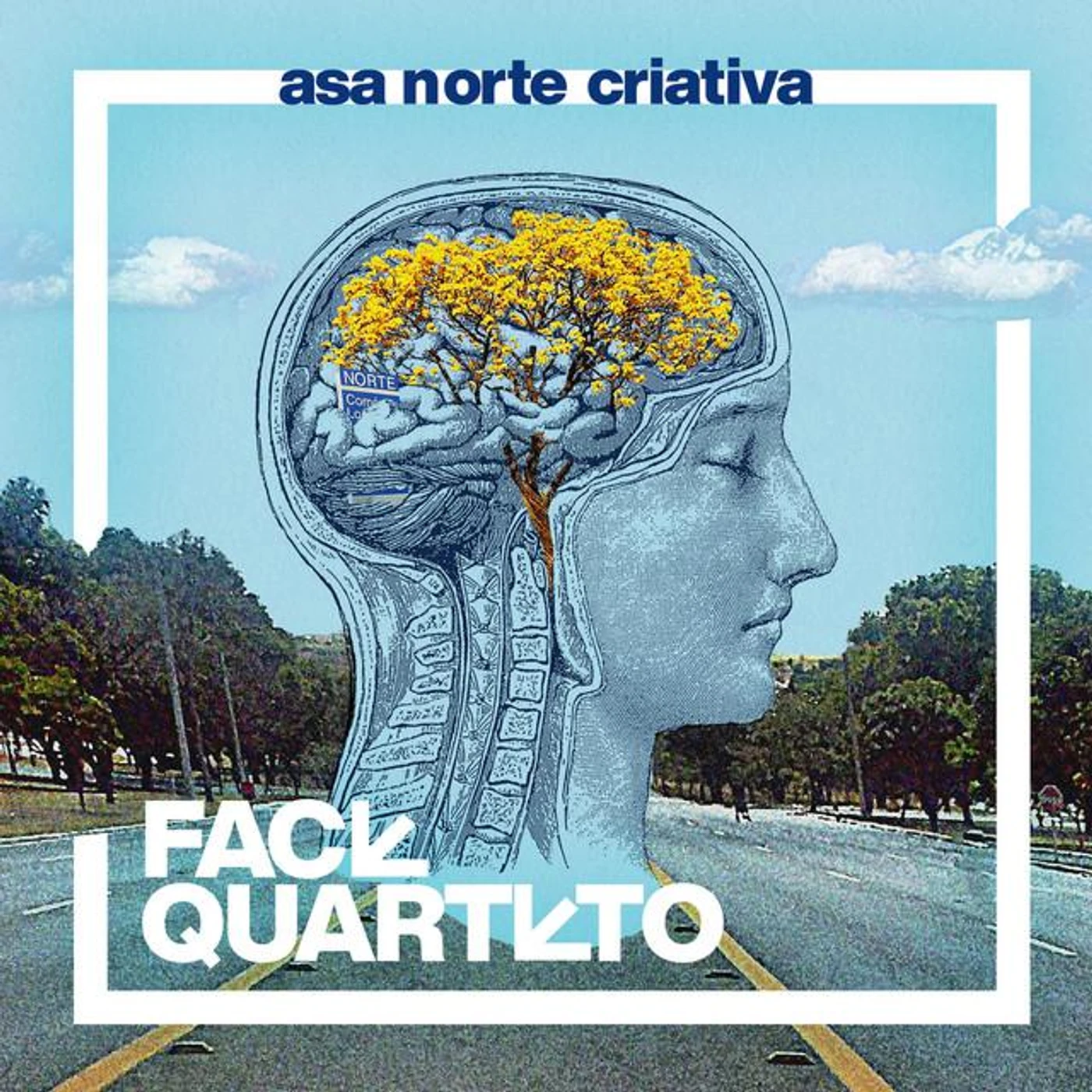 Face Quarteto Brand Page