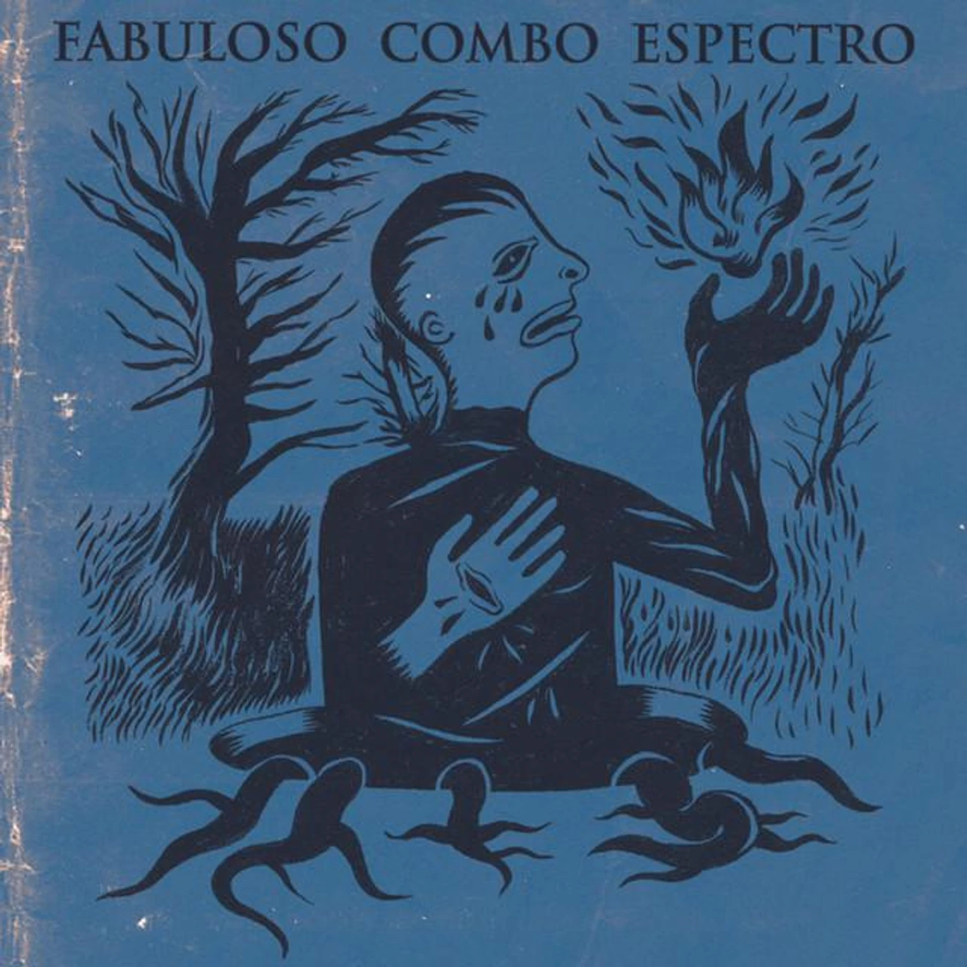 Fabuloso Combo Espectro Brand Page