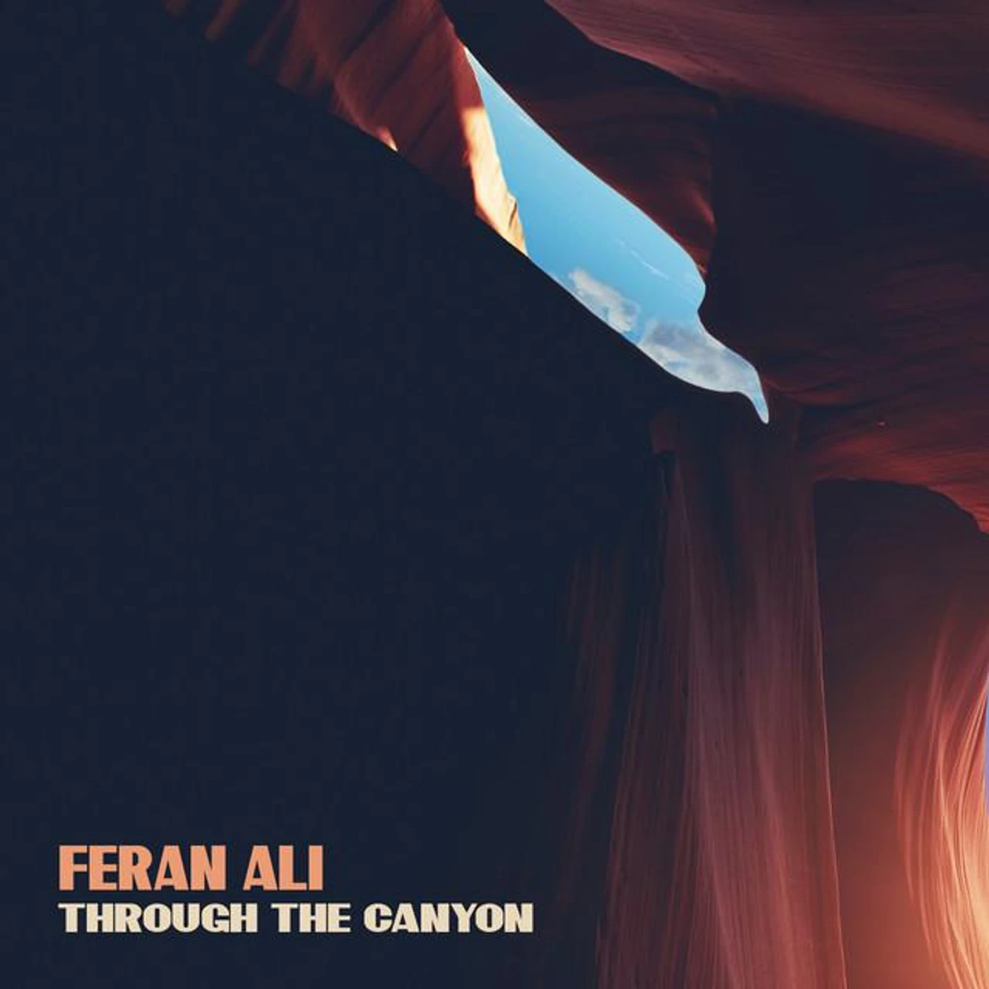 Feran Ali