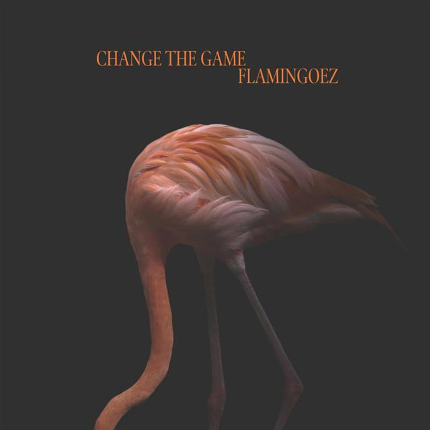 Flamingoez Brand Page