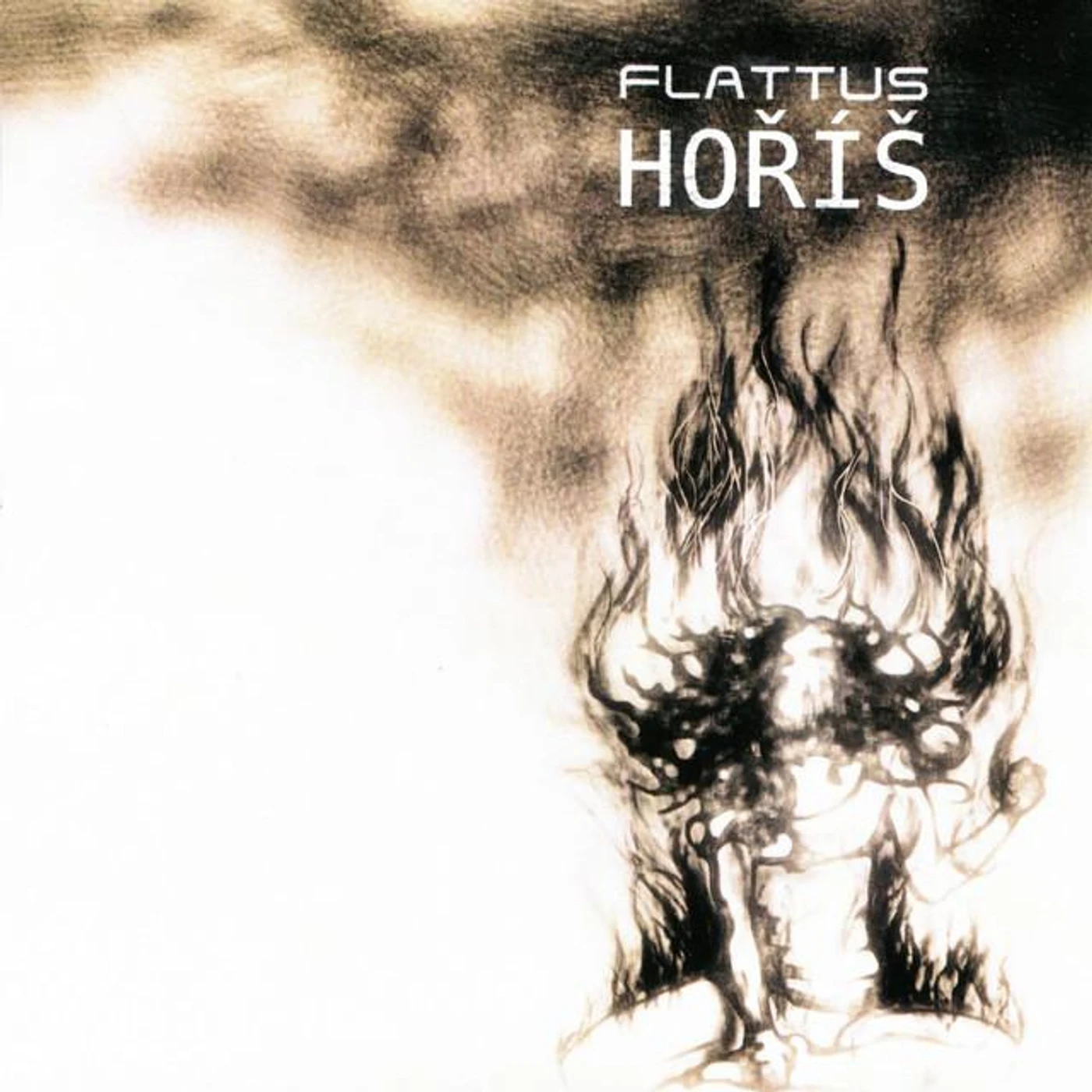 Flattus Brand Page