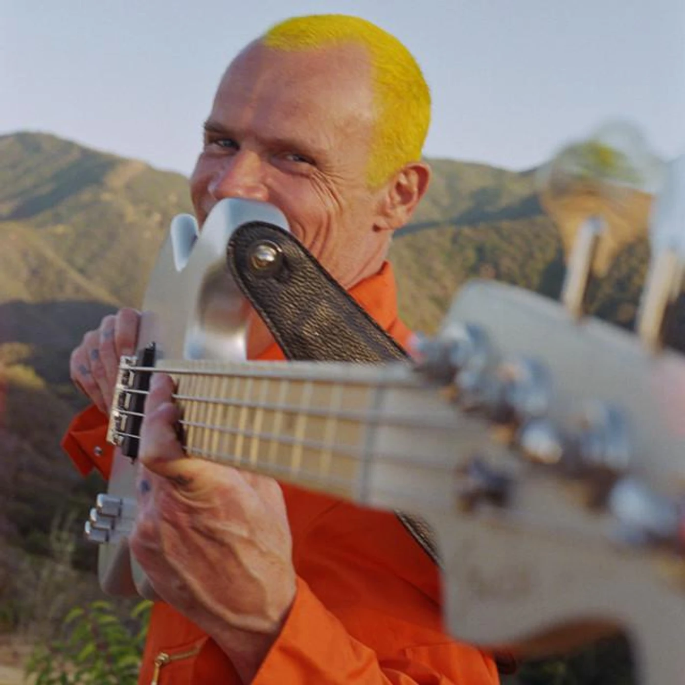 Flea Brand Page