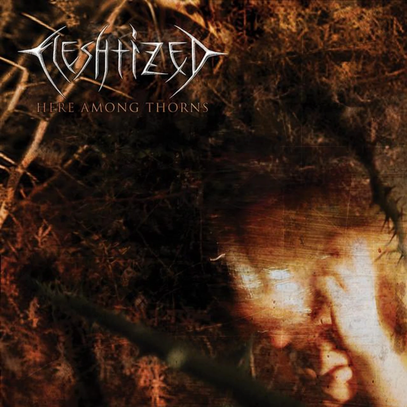 Fleshtized Brand Page