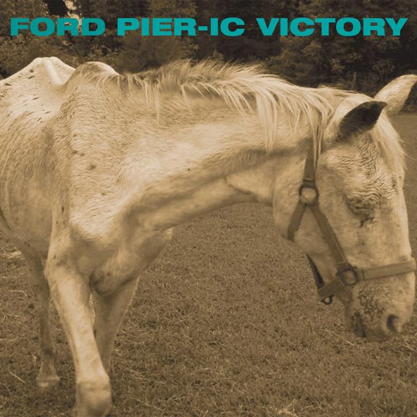 Ford Pier Brand Page