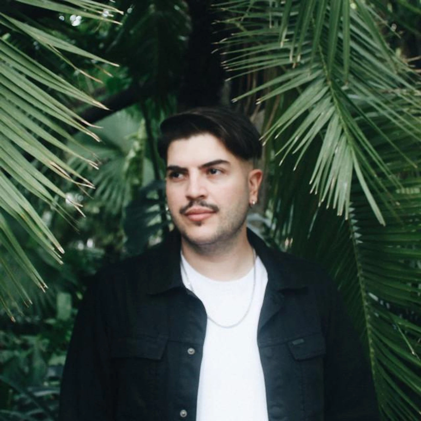 Forest On Stasys Brand Page