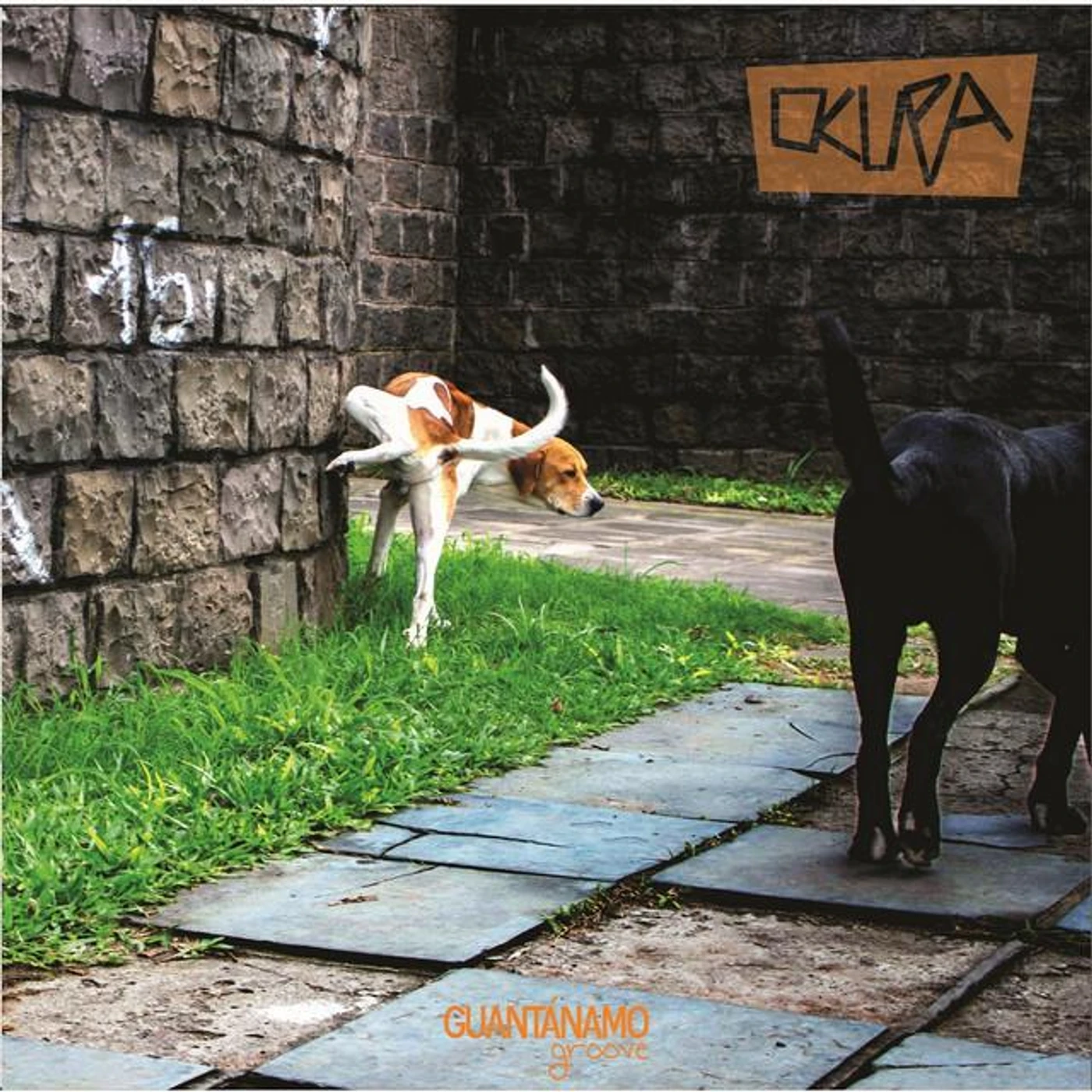 Guantánamo Groove
