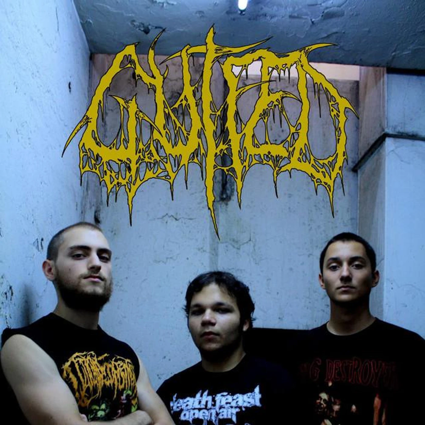 Gutfed Brand Page