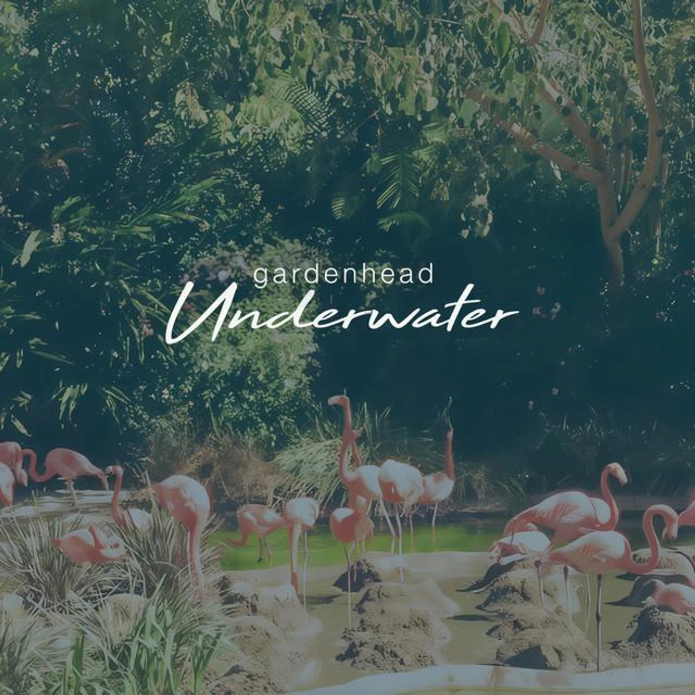 Gardenhead Brand Page